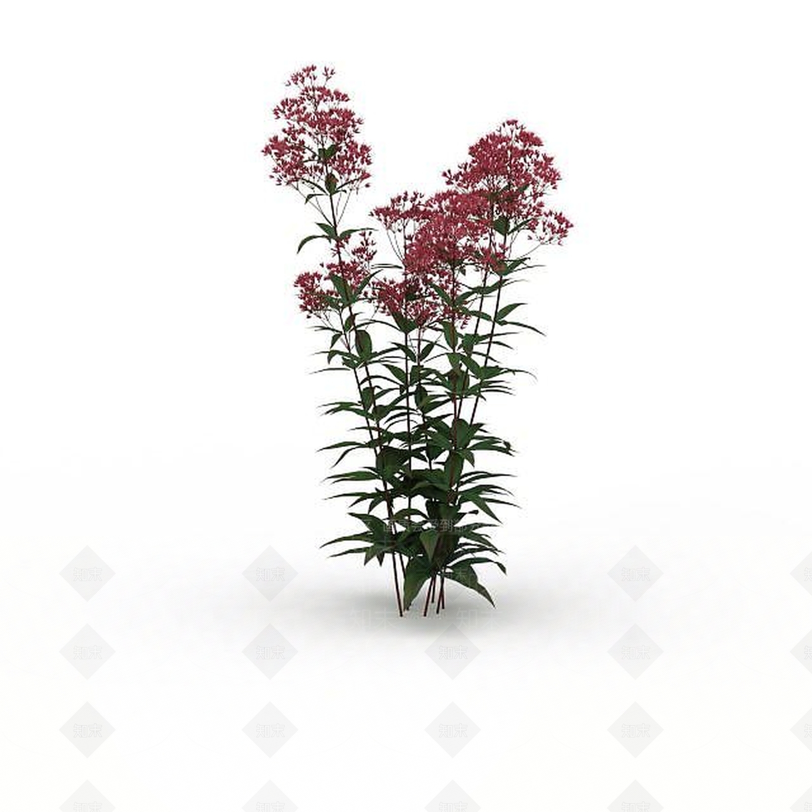现代红花3D模型下载【ID:1198676517】