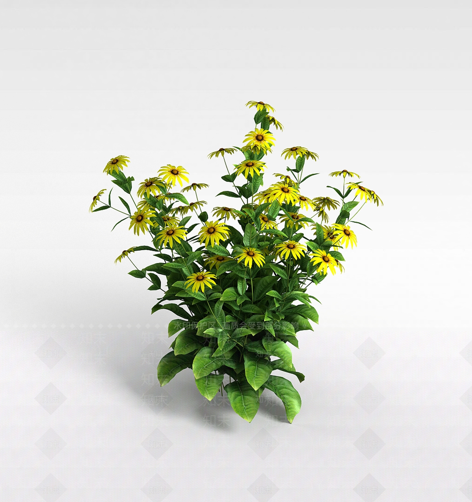 现代黄花3D模型下载【ID:1198676687】