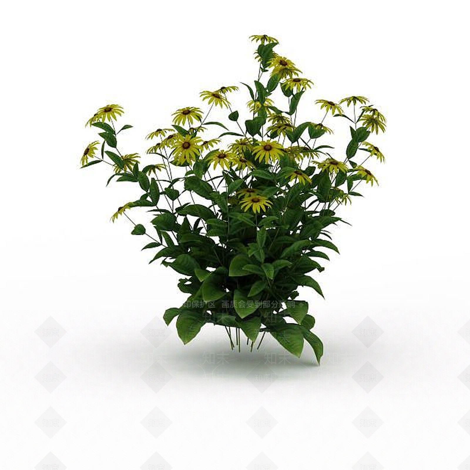 现代黄花3D模型下载【ID:1198676687】