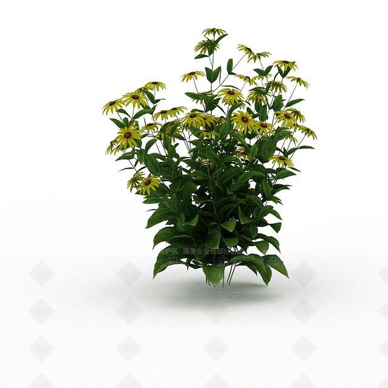 现代黄花3D模型下载【ID:1198676687】