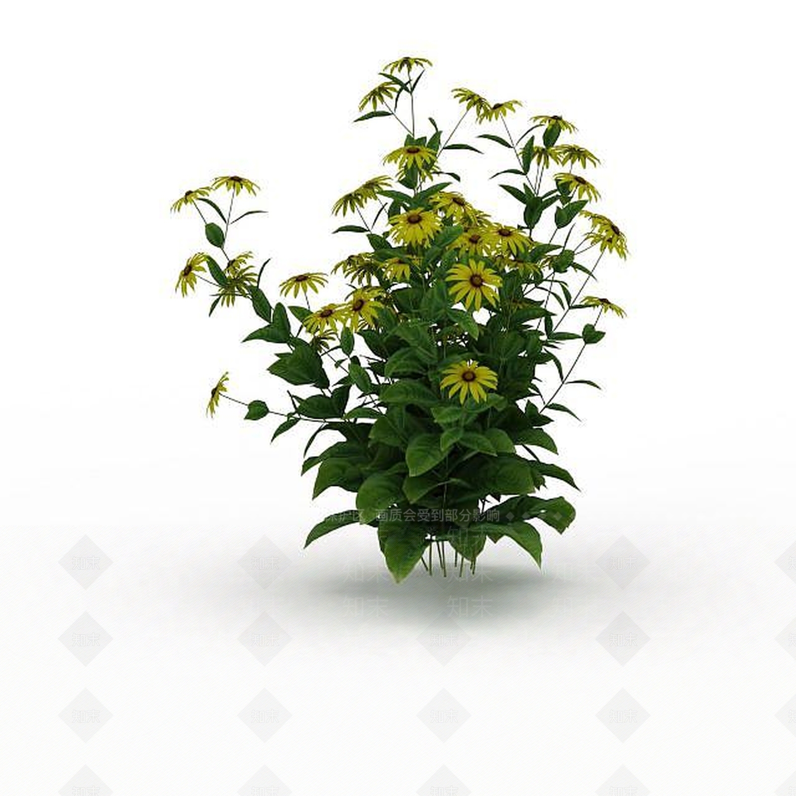 现代黄花3D模型下载【ID:1198676687】