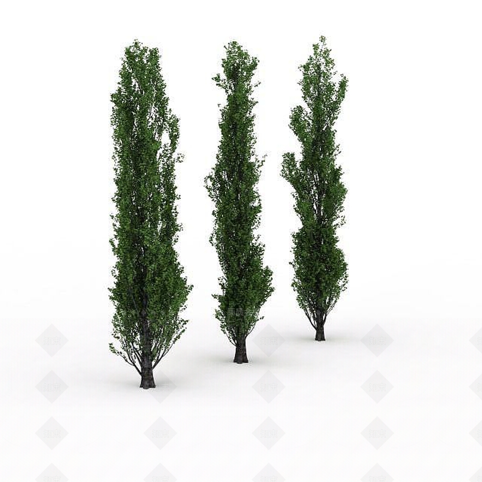 现代景观树3D模型下载【ID:1198677193】