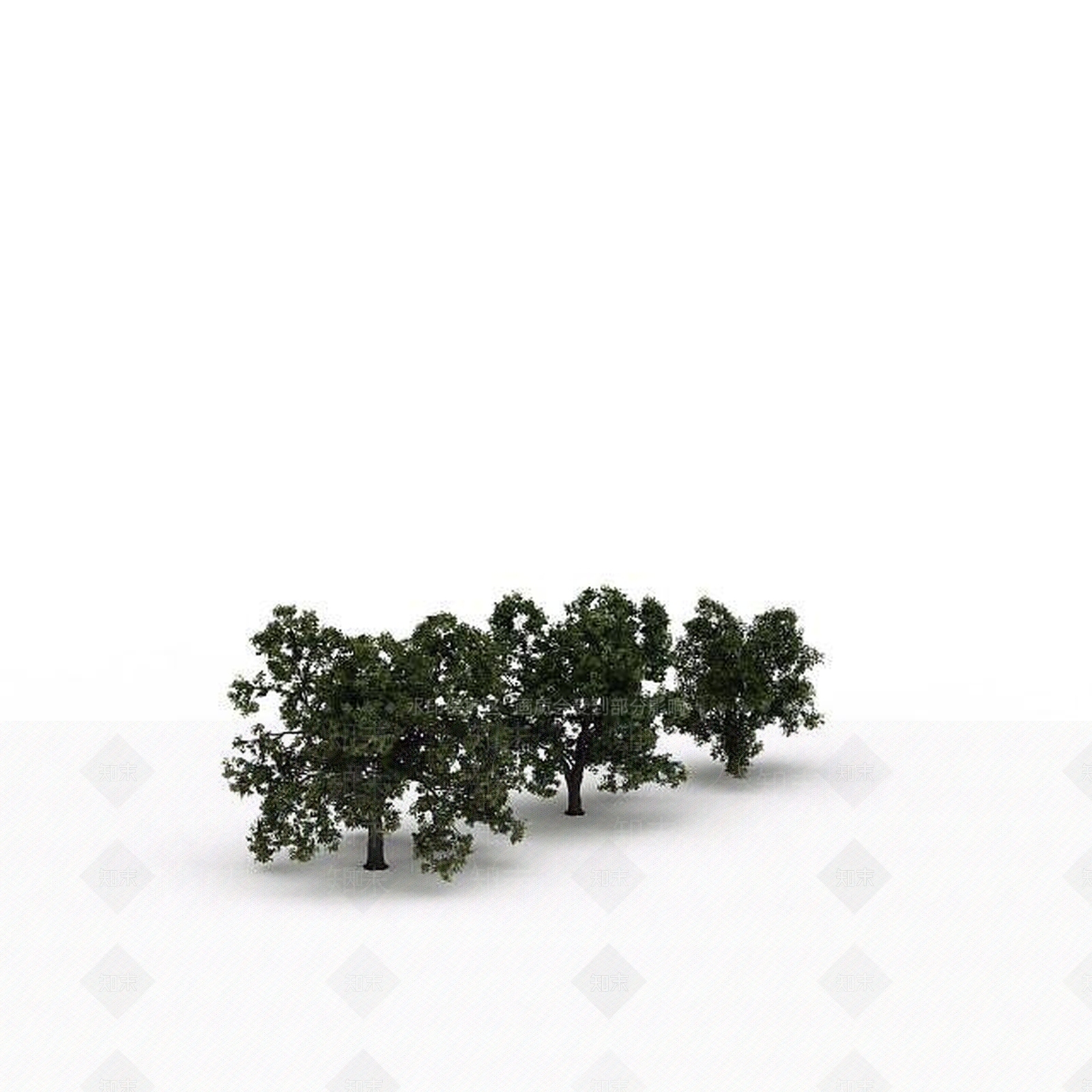 现代路边树3D模型下载【ID:1198678365】