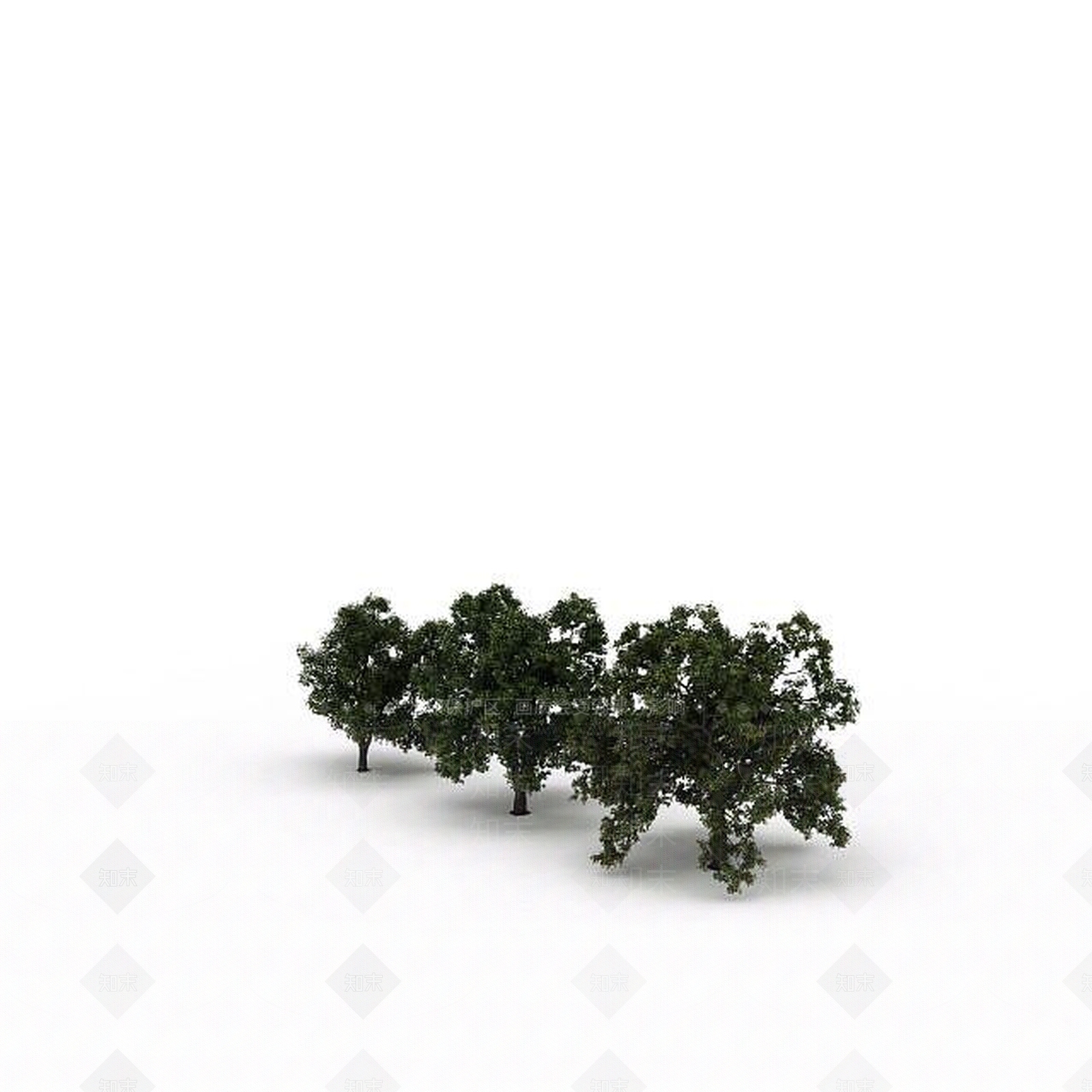 现代路边树3D模型下载【ID:1198678365】