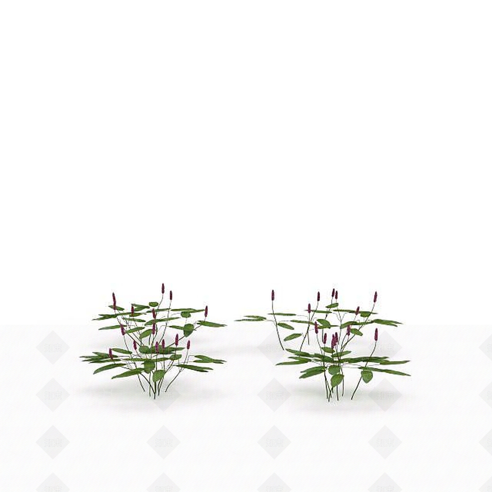 现代花草3D模型下载【ID:1198678406】