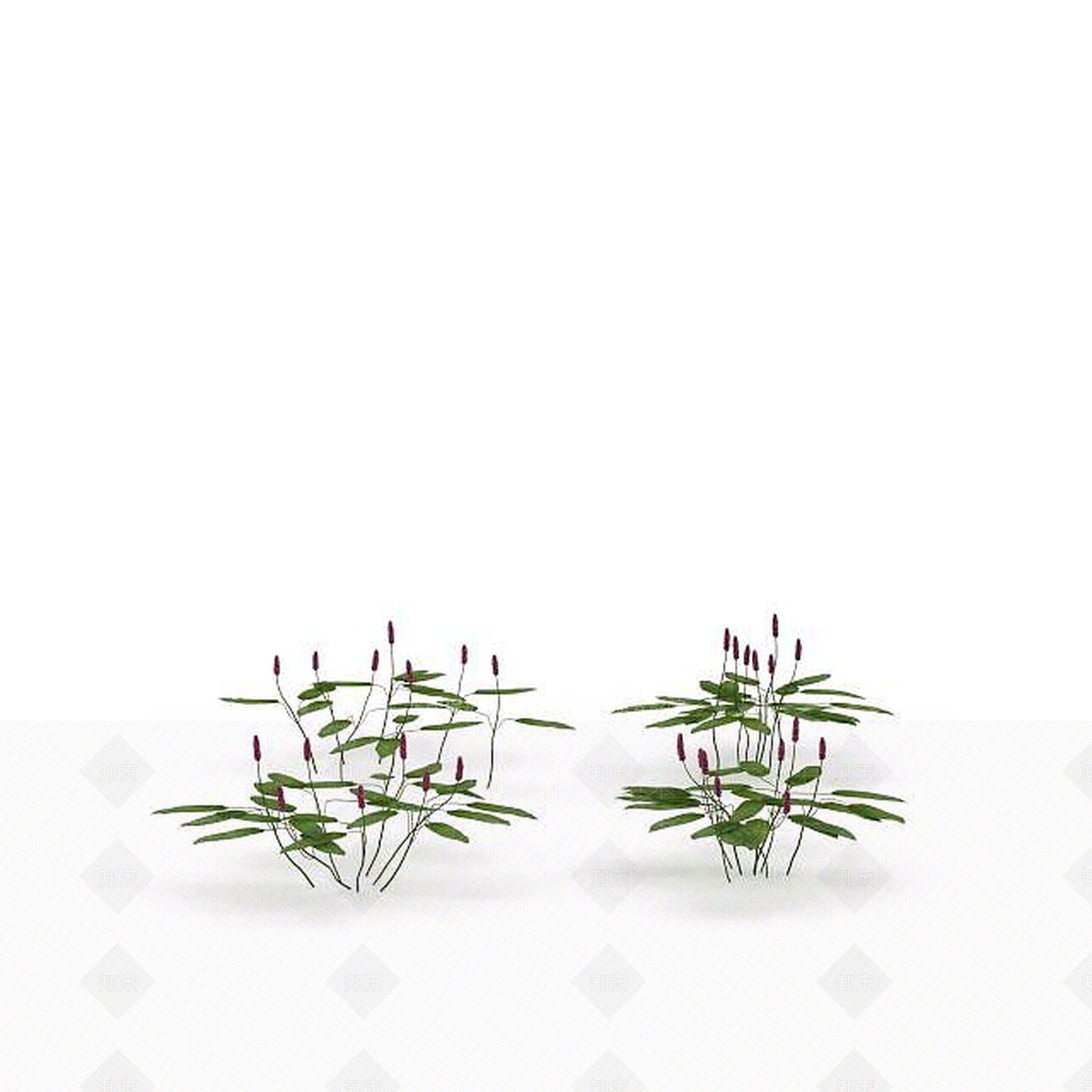现代花草3D模型下载【ID:1198678406】