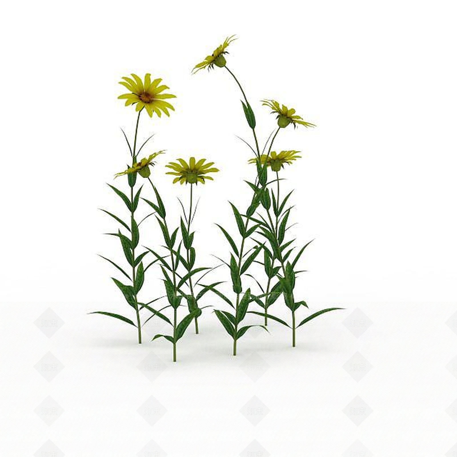 现代黄色花3D模型下载【ID:1198678882】