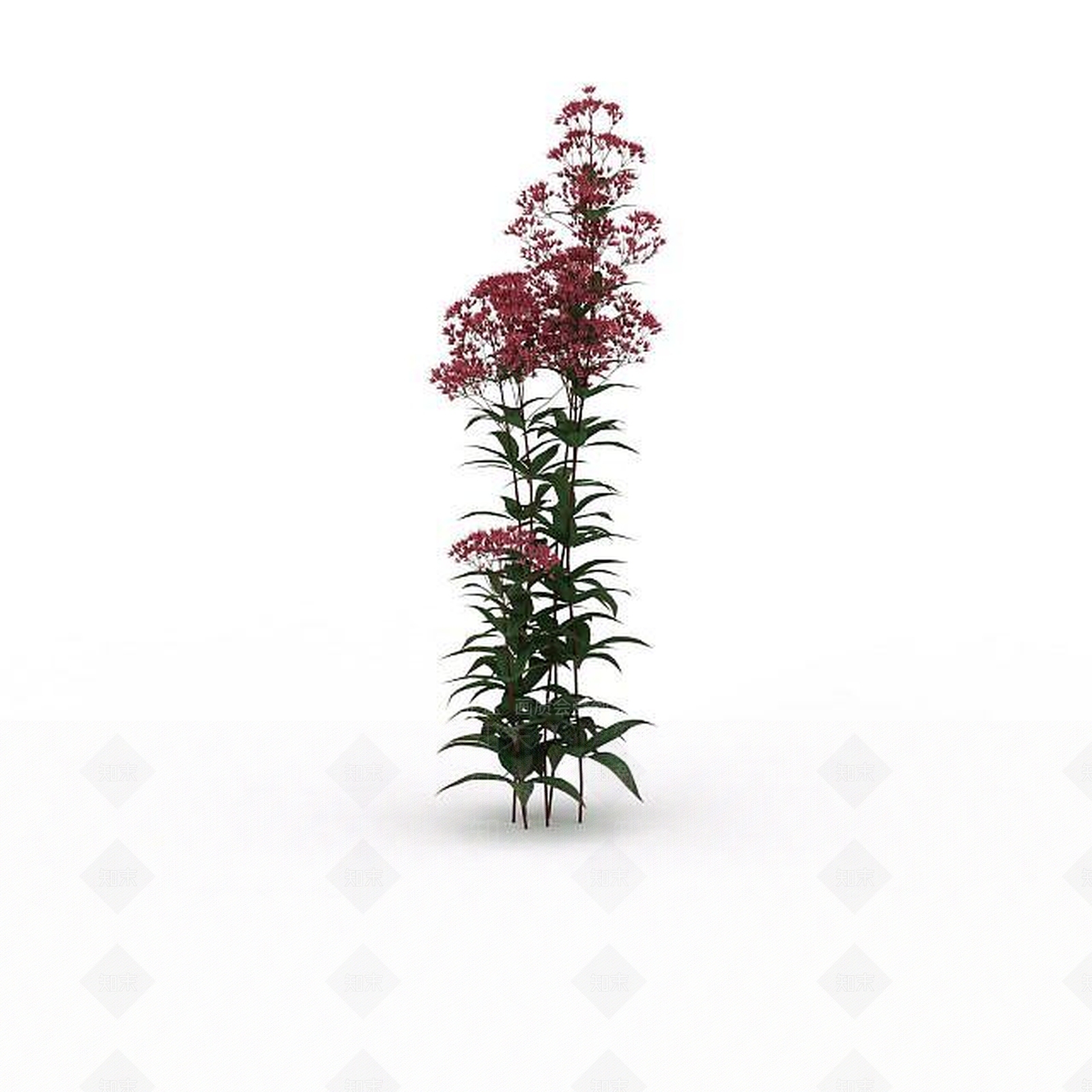 现代粉色花3D模型下载【ID:1198678977】