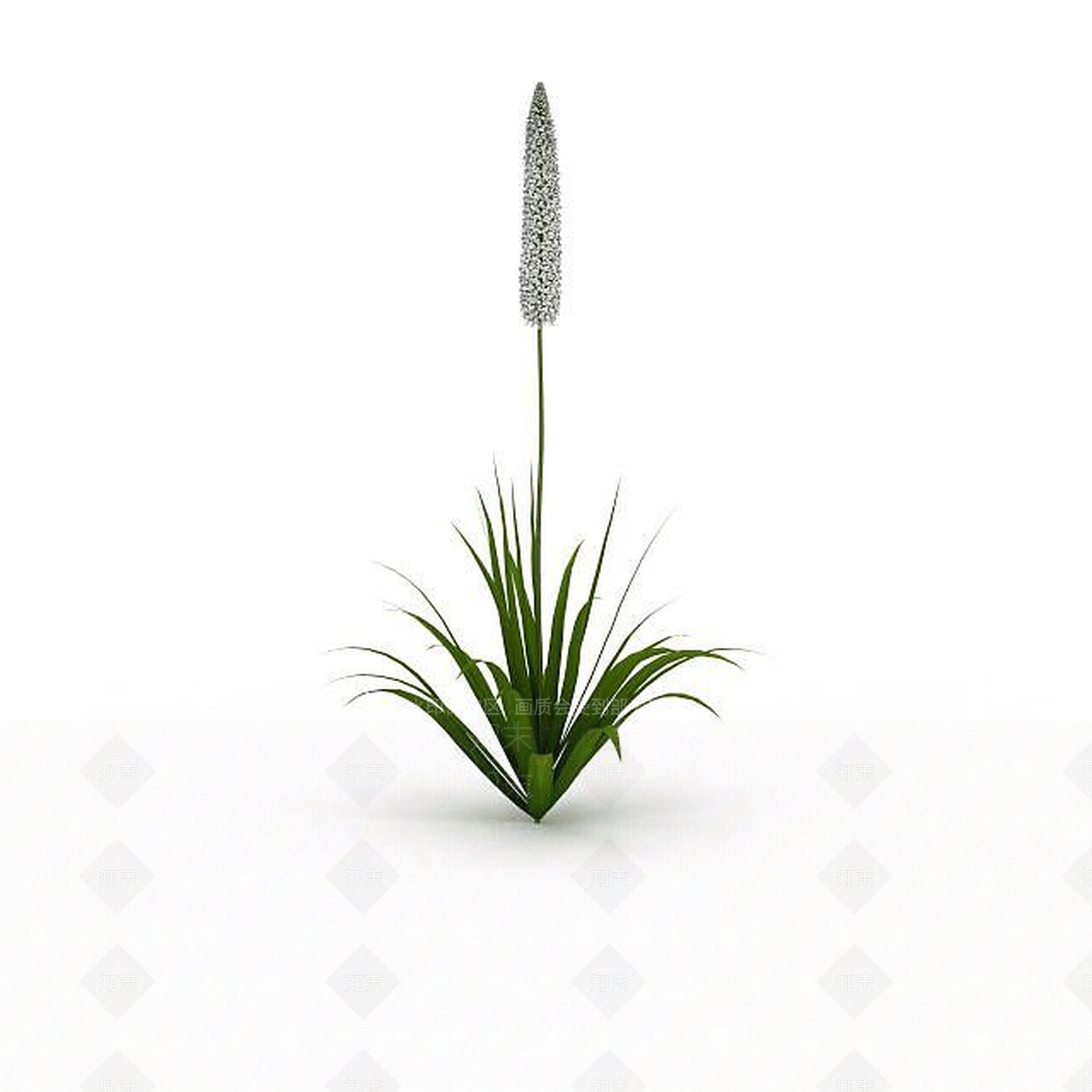 现代野草3D模型下载【ID:1198679130】