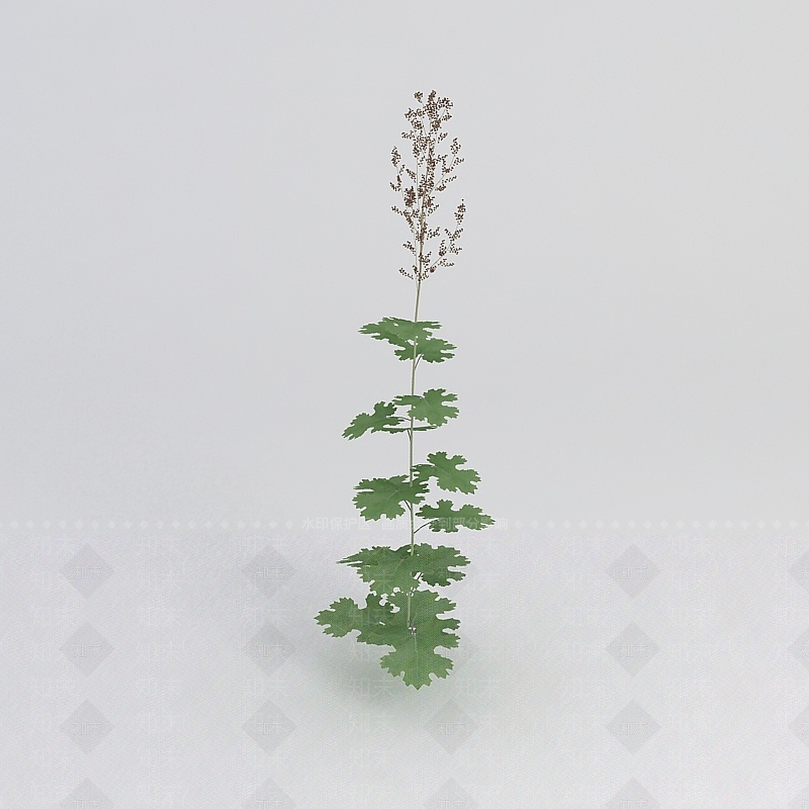 现代绿植3D模型下载【ID:1198679177】