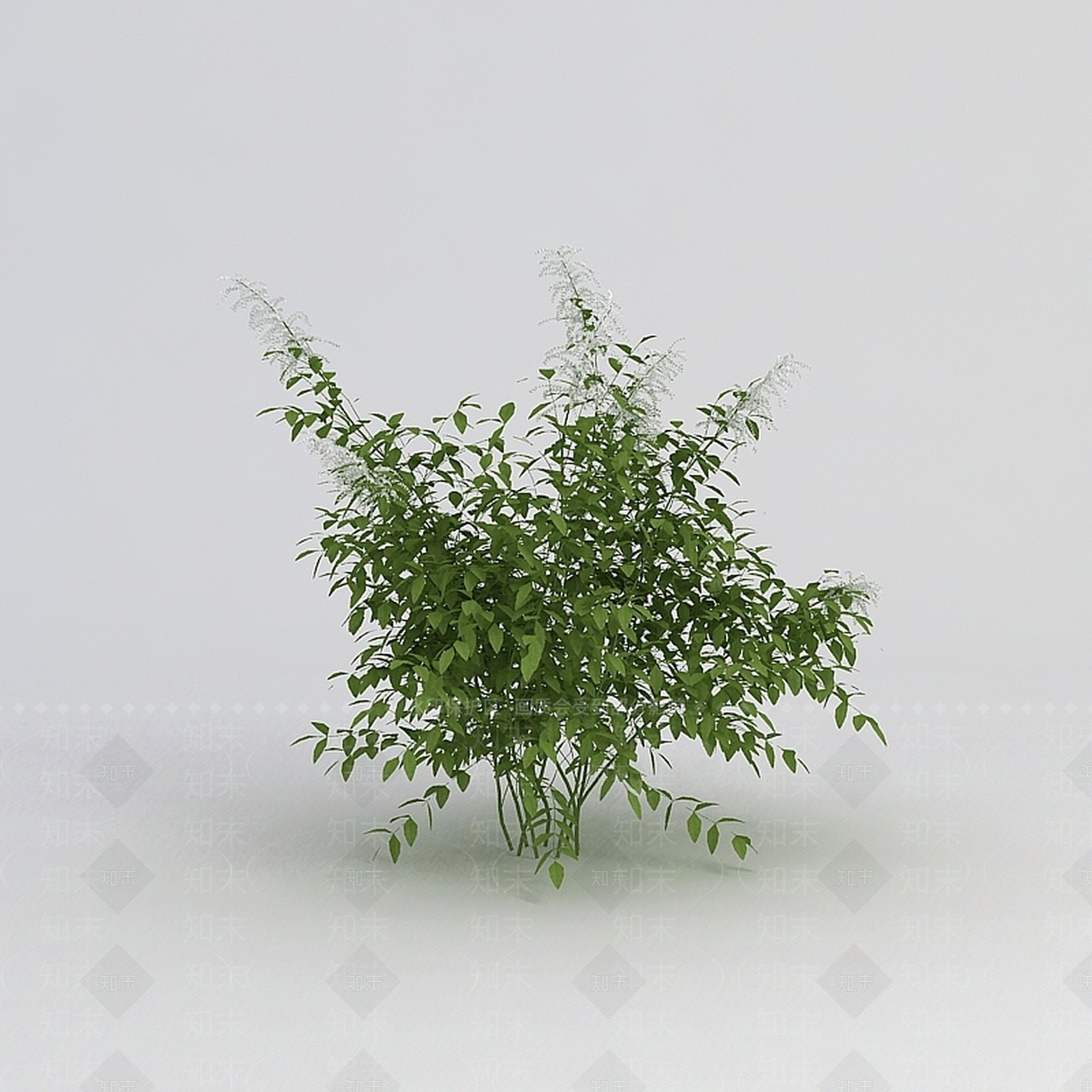 现代公园绿植3D模型下载【ID:1198679373】