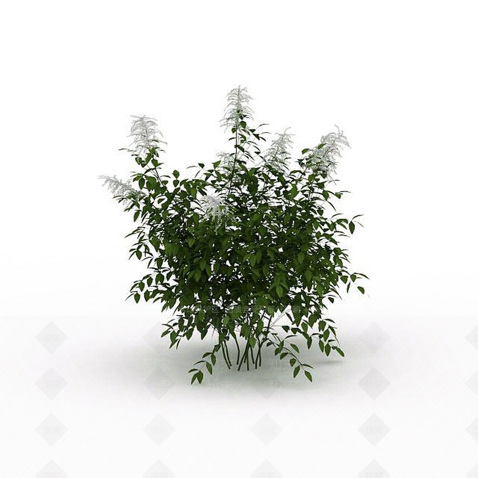 现代公园绿植3D模型下载【ID:1198679373】