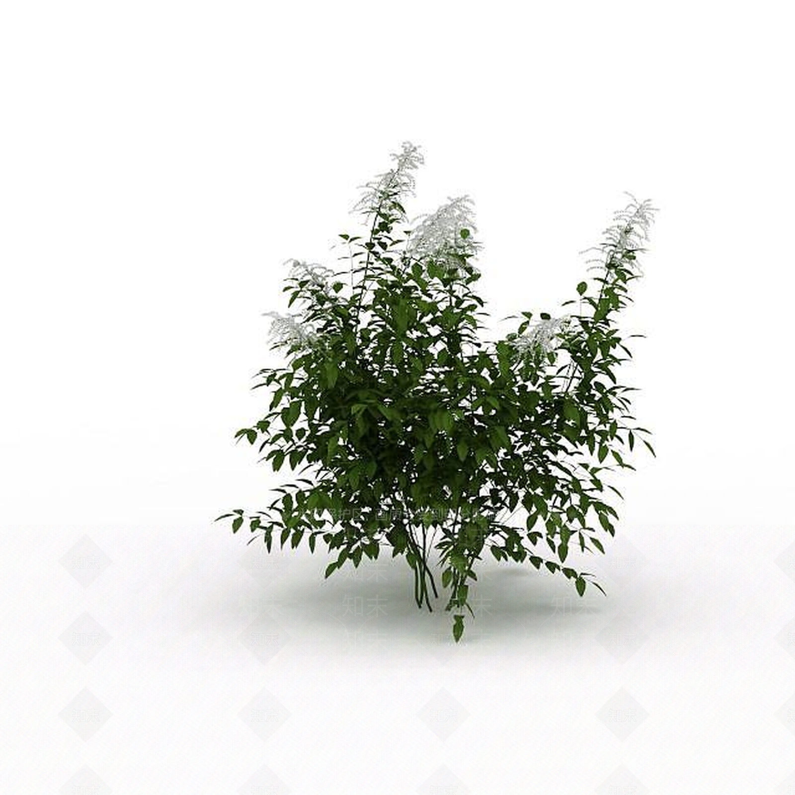 现代公园绿植3D模型下载【ID:1198679373】