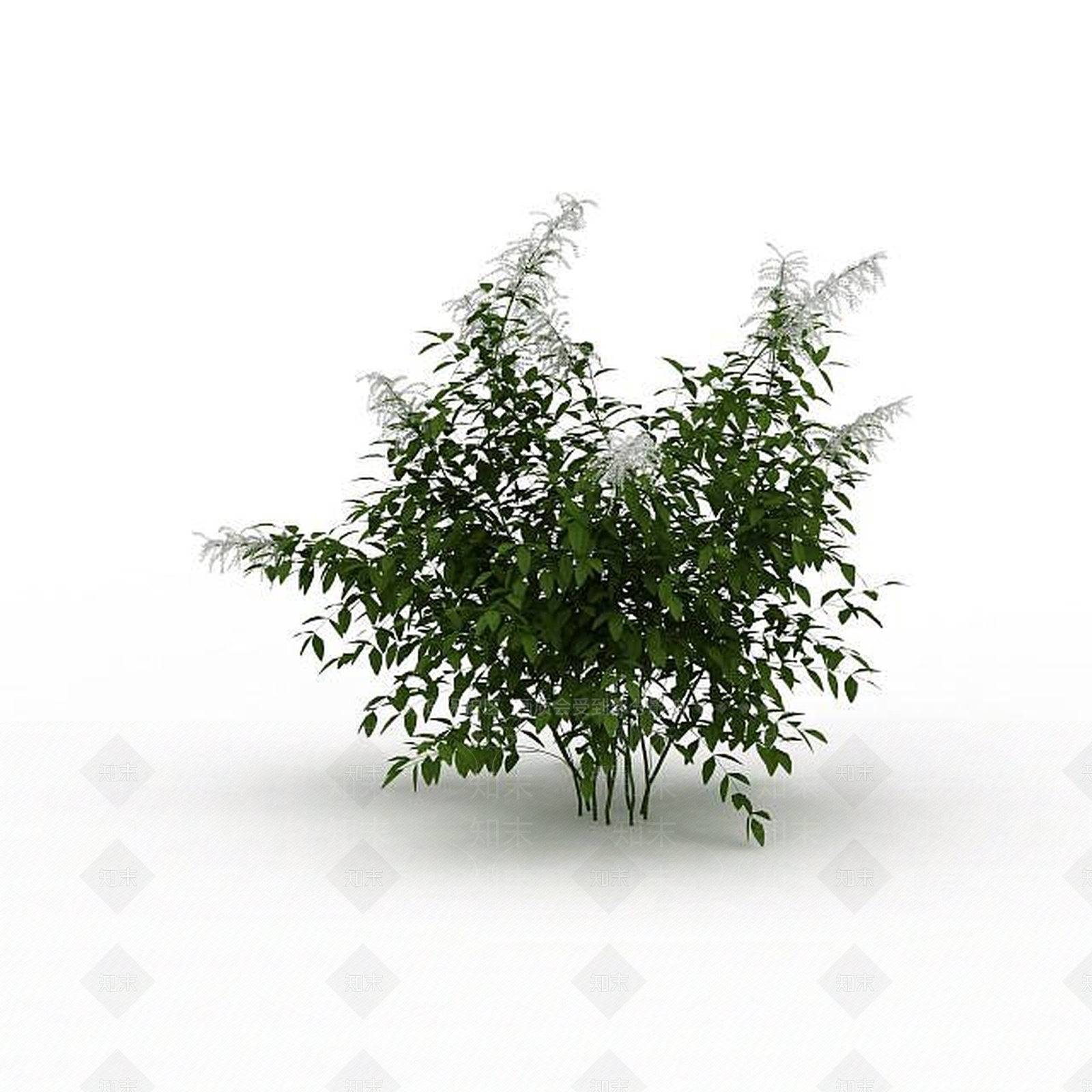 现代公园绿植3D模型下载【ID:1198679373】