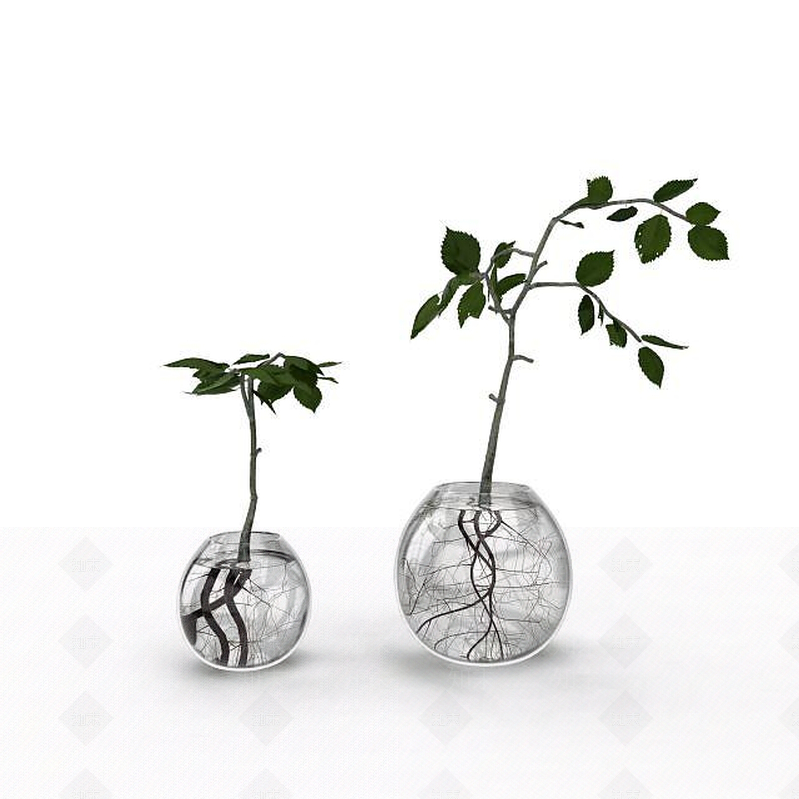 现代室内水养植物花瓶3D模型下载【ID:1198691508】