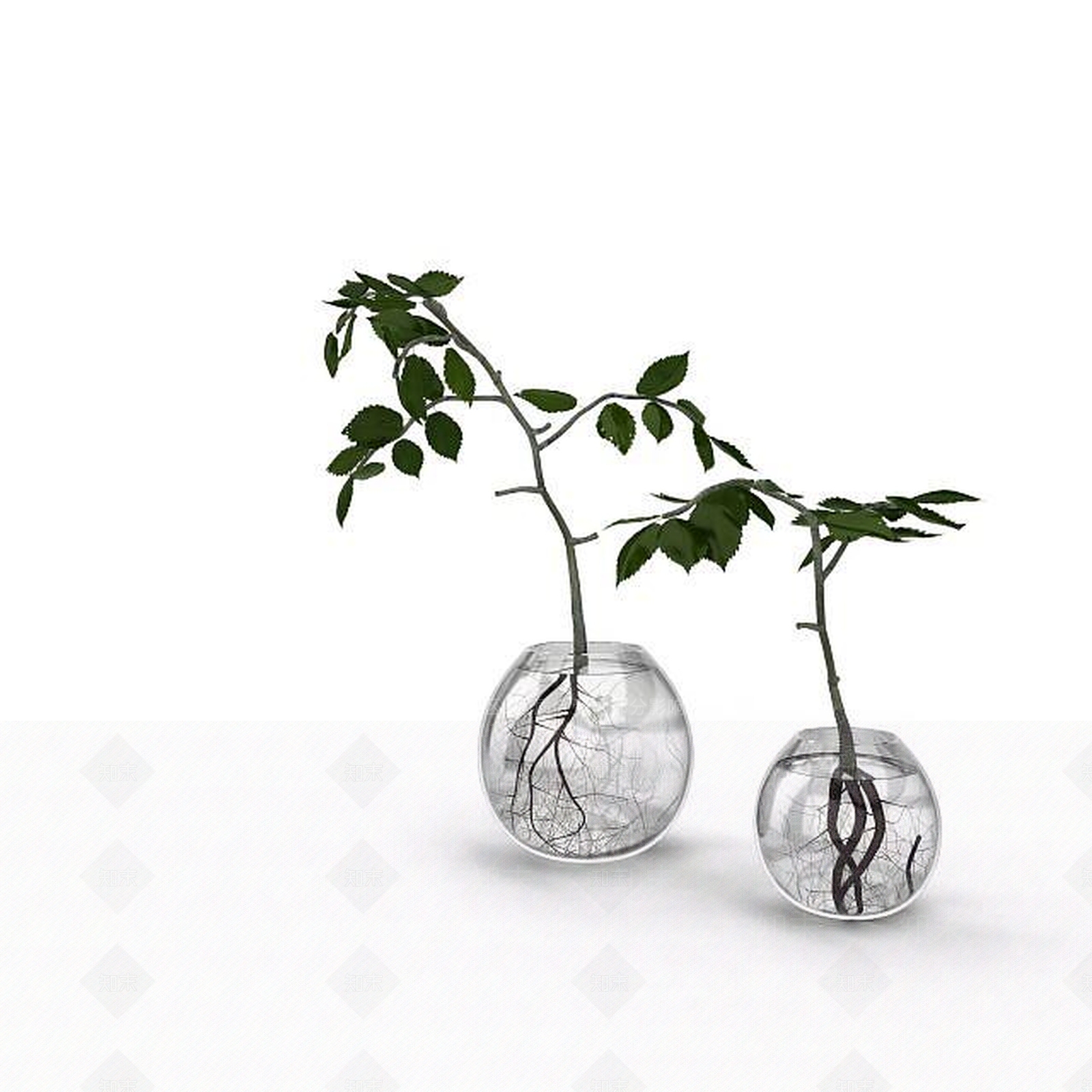 现代室内水养植物花瓶3D模型下载【ID:1198691508】