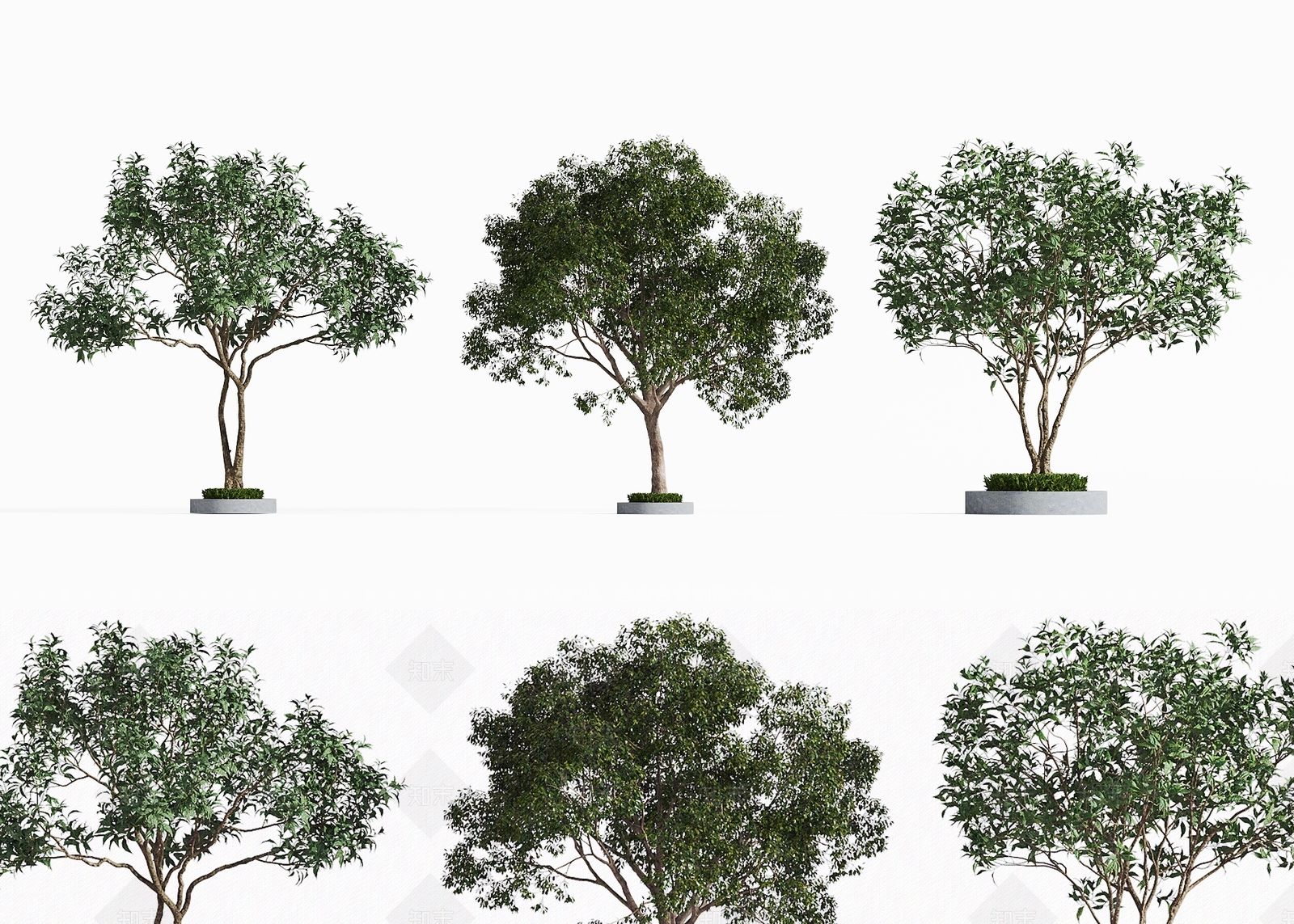 景观树3D模型下载【ID:1198787119】
