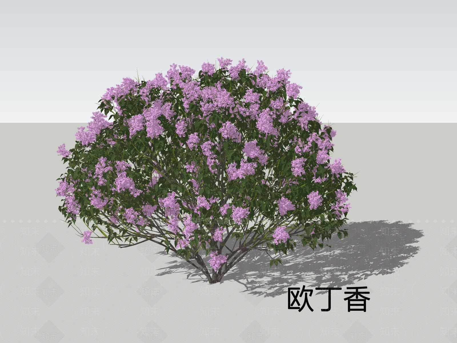 灌木SU模型下载【ID:1198787691】