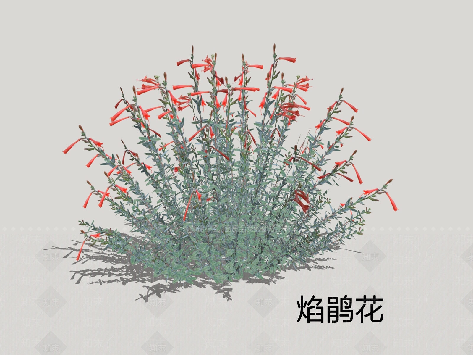 花草SU模型下载【ID:1198788679】