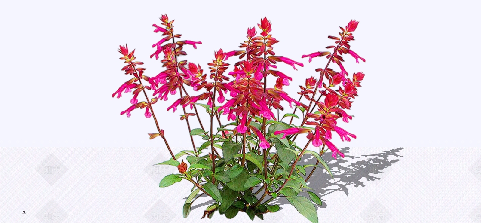 花草SU模型下载【ID:1198791354】