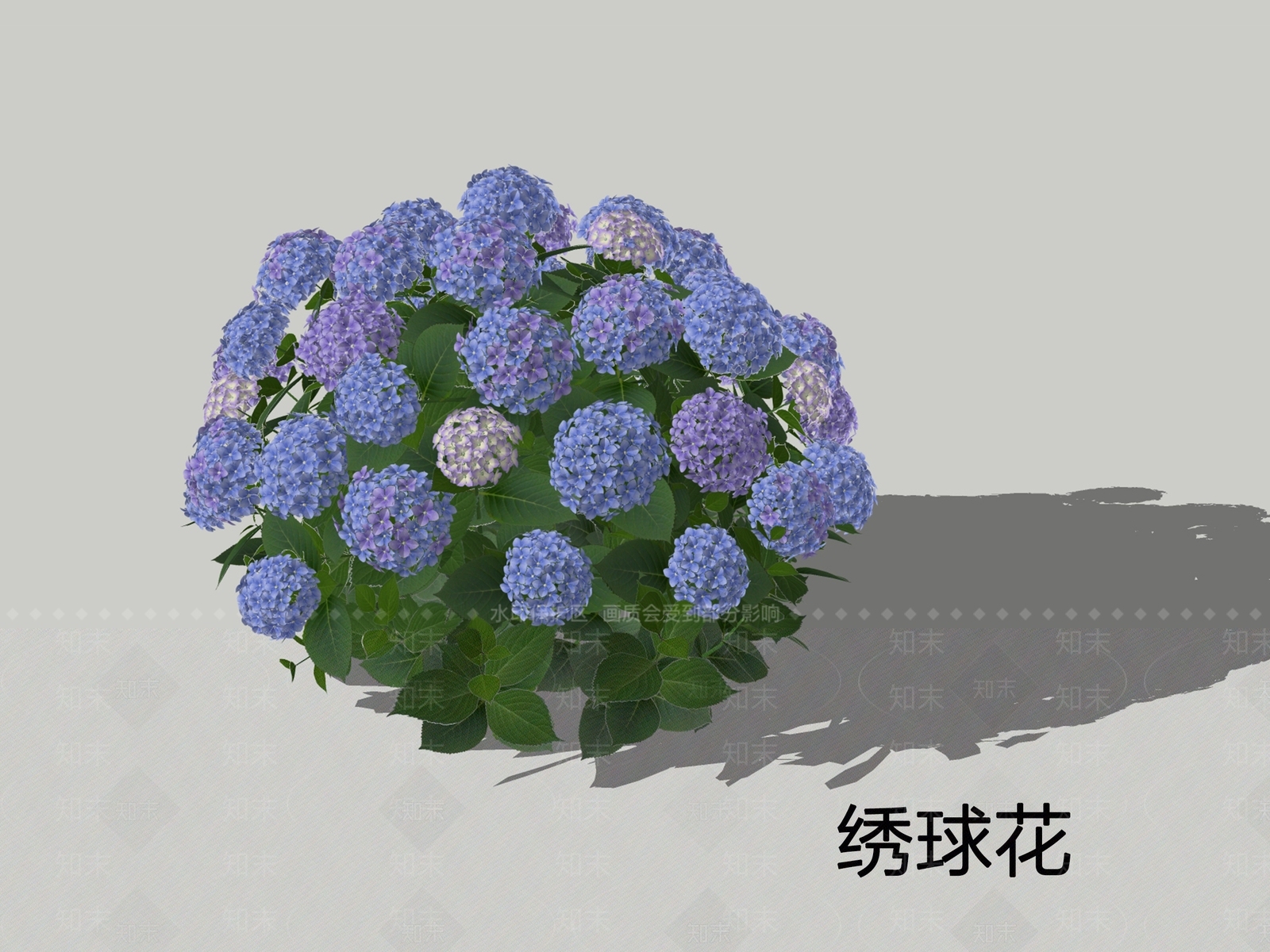 灌木SU模型草图