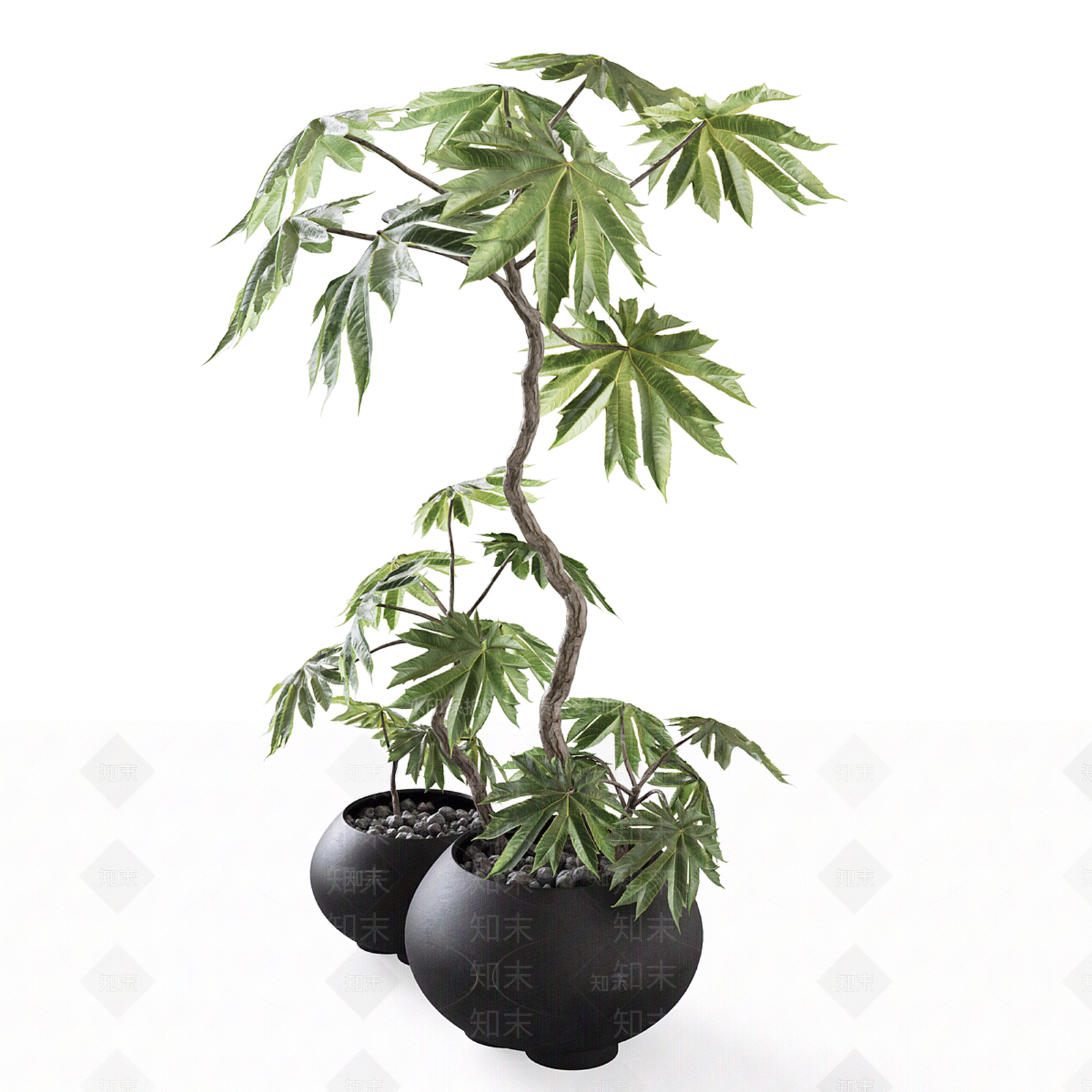 盆栽3D模型下载【ID:1198863101】
