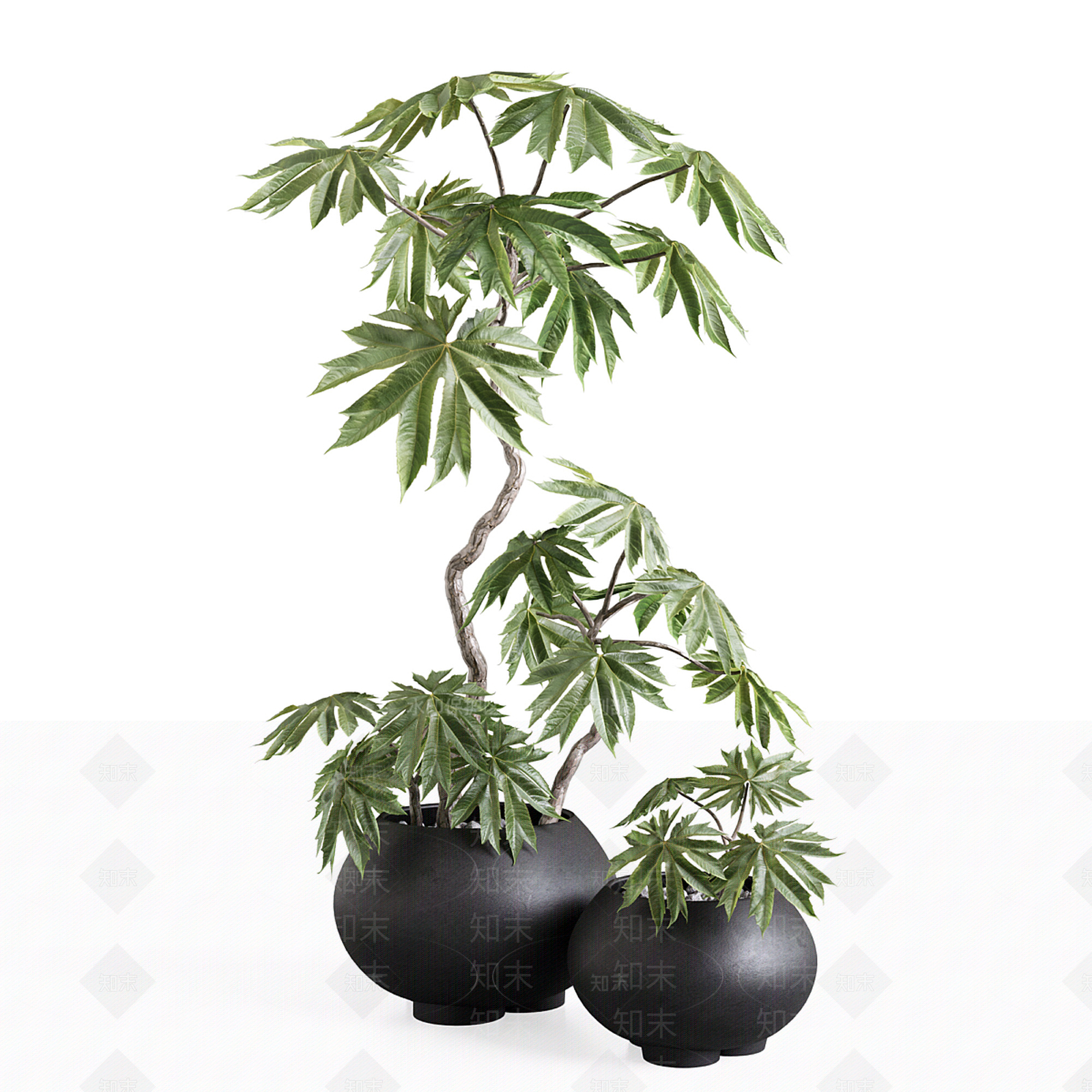 盆栽3D模型下载【ID:1198863101】