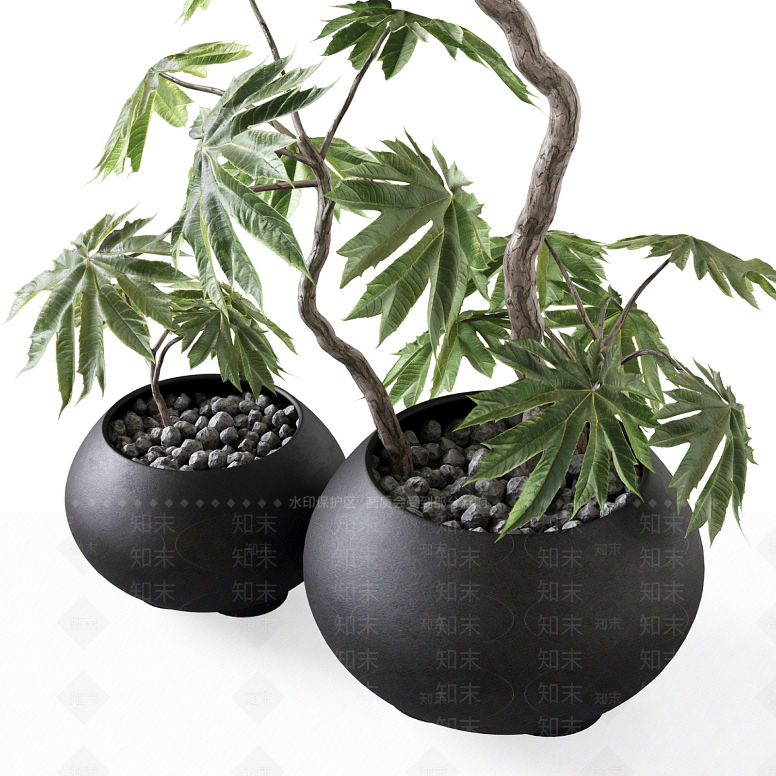 盆栽3D模型下载【ID:1198863101】