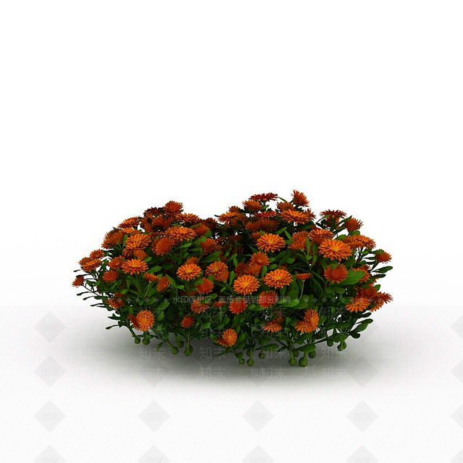 现代橘色园艺植物3D模型下载【ID:1198874817】