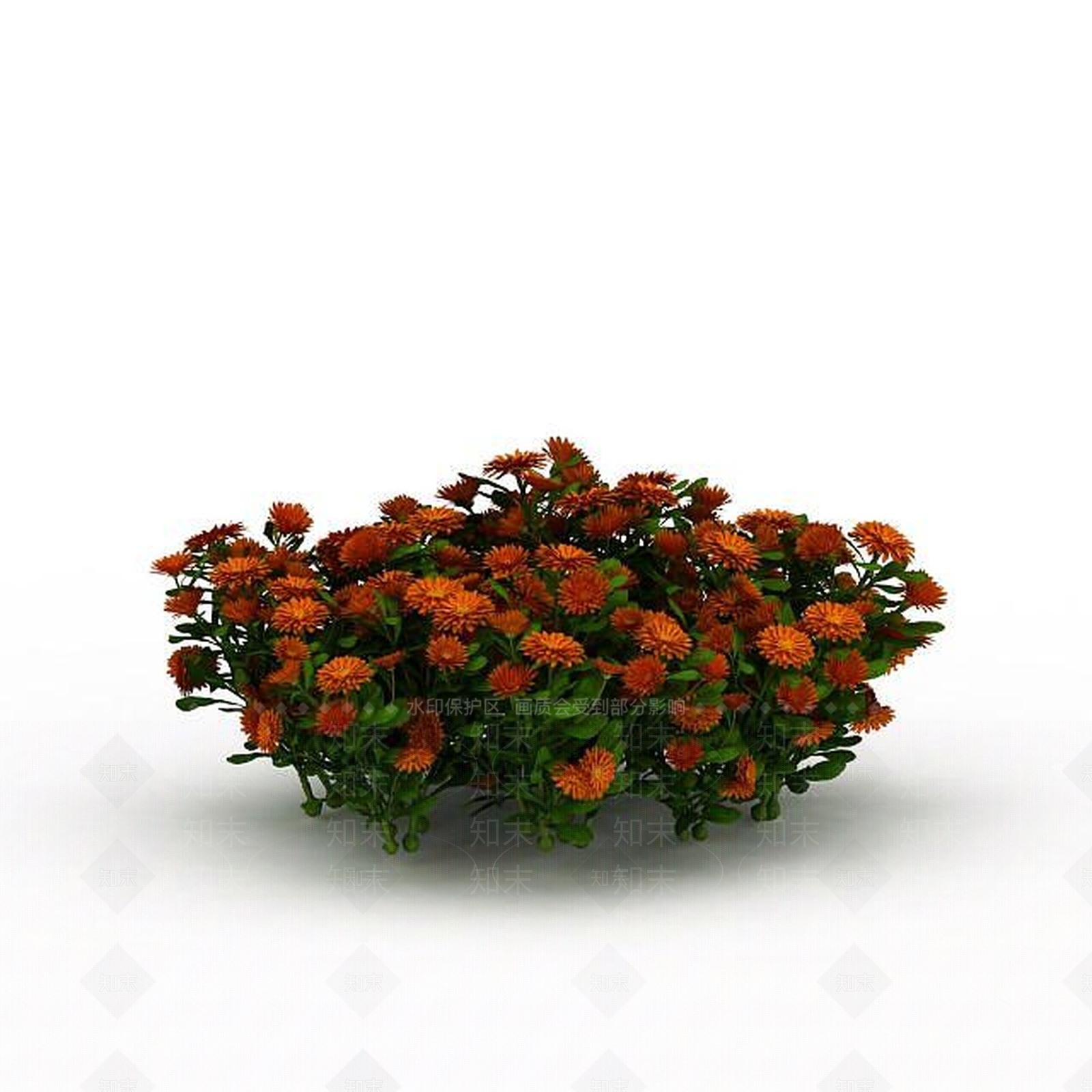 现代橘色园艺植物3D模型下载【ID:1198874817】