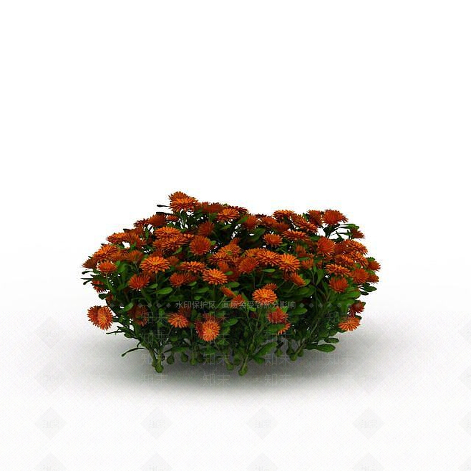 现代橘色园艺植物3D模型下载【ID:1198874817】