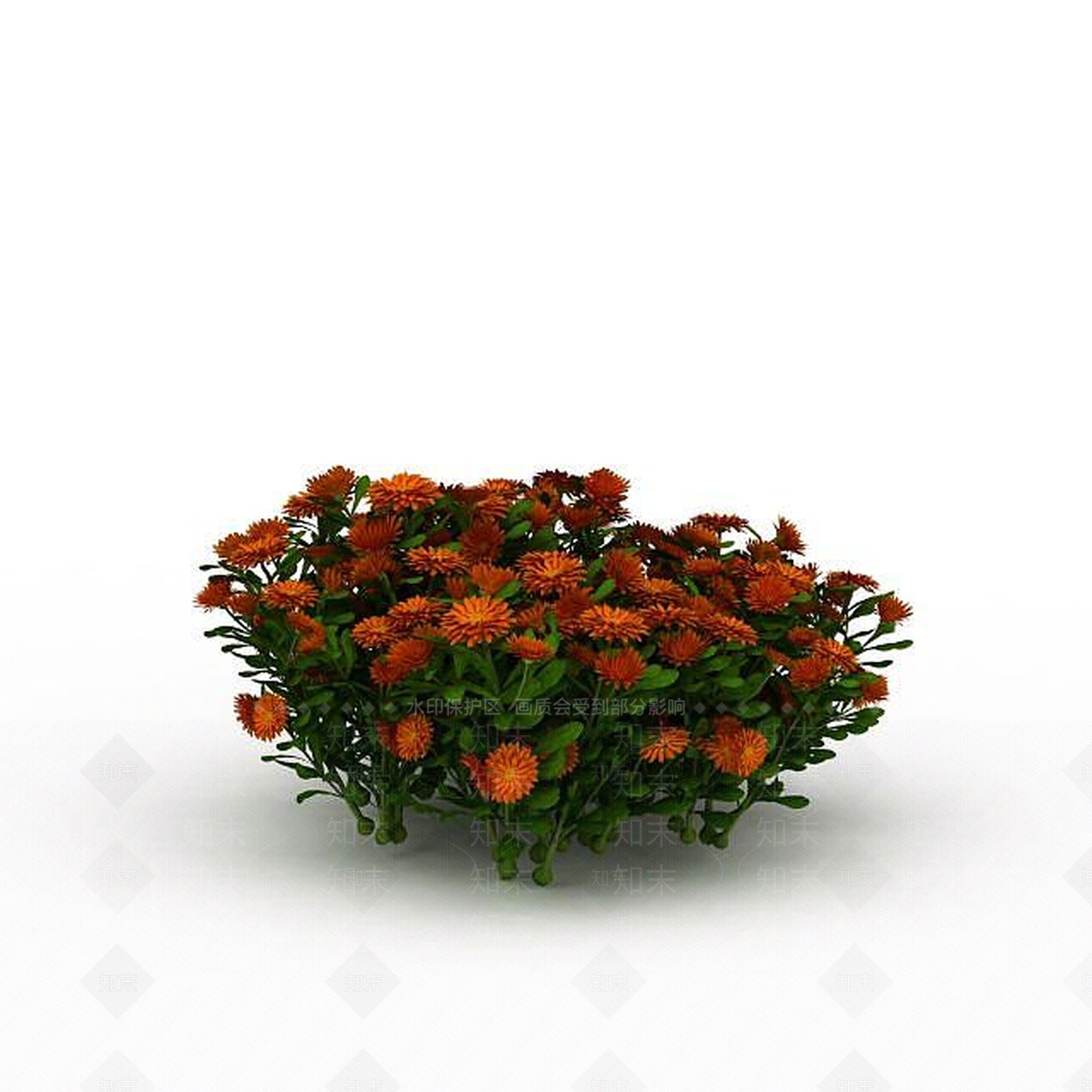 现代橘色园艺植物3D模型下载【ID:1198874817】