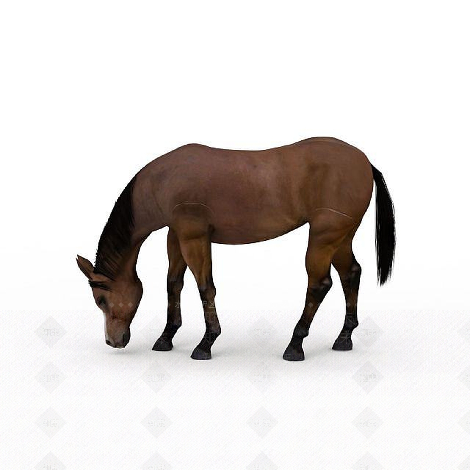 现代马3D模型下载【ID:1198874945】