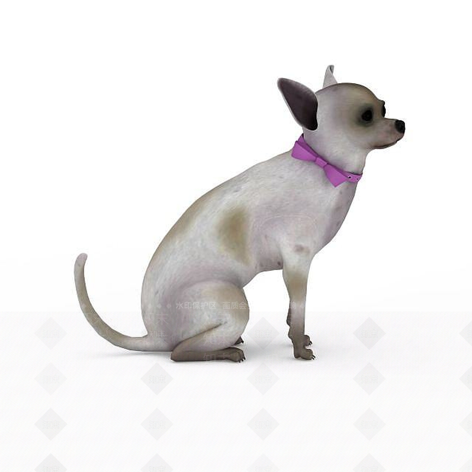 现代吉娃娃3D模型下载【ID:1198875076】