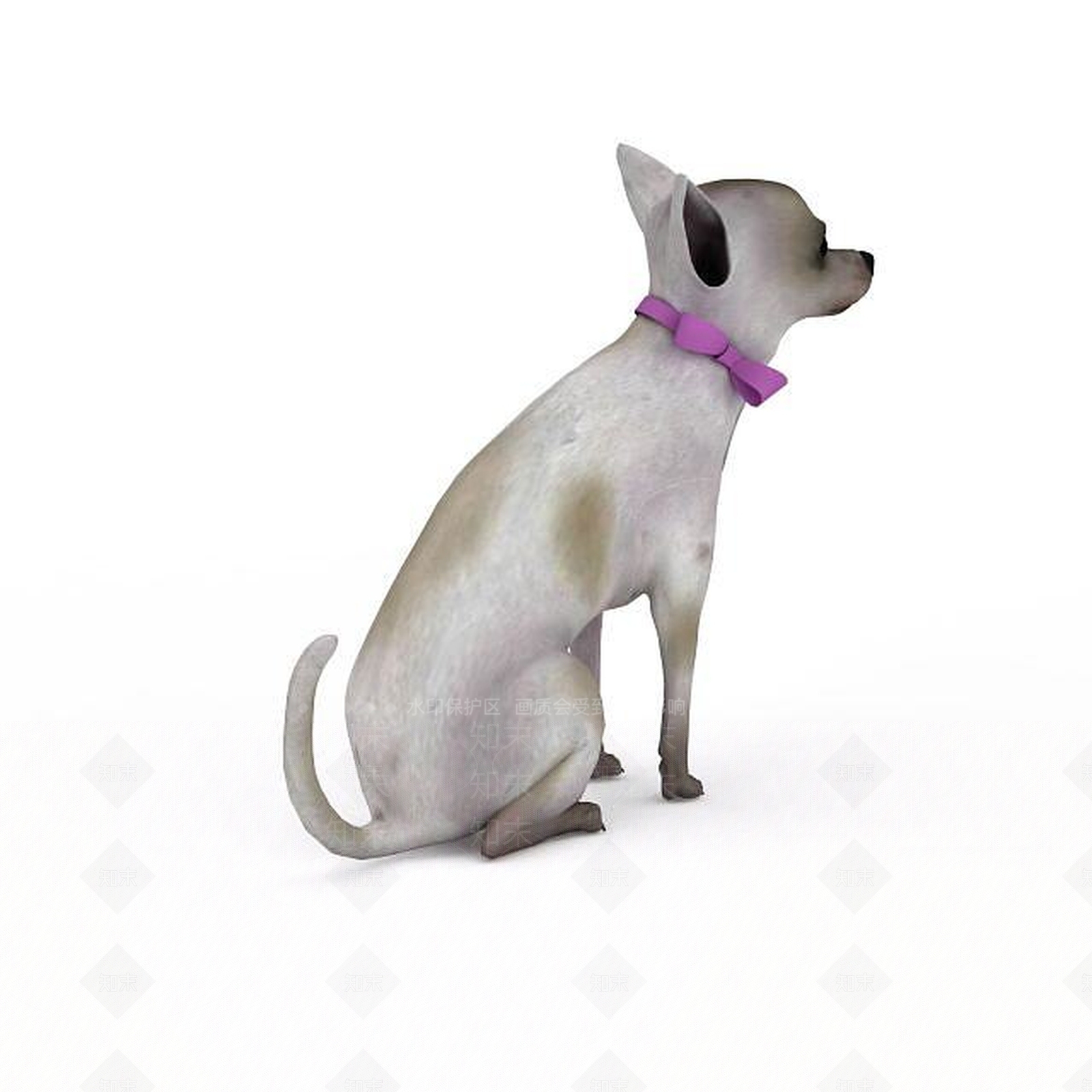 现代吉娃娃3D模型下载【ID:1198875076】