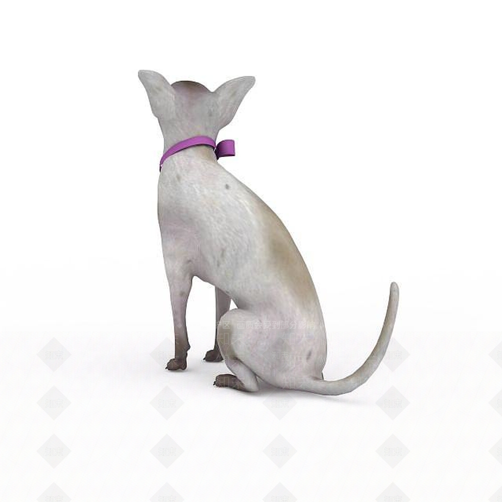 现代吉娃娃3D模型下载【ID:1198875076】