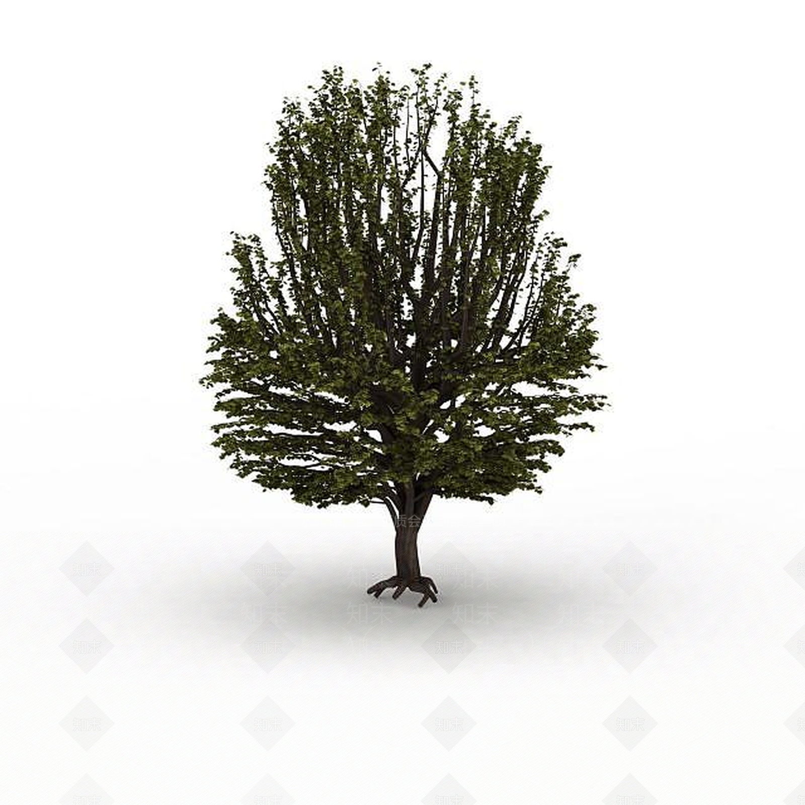 现代草地绿树3D模型下载【ID:1198876706】