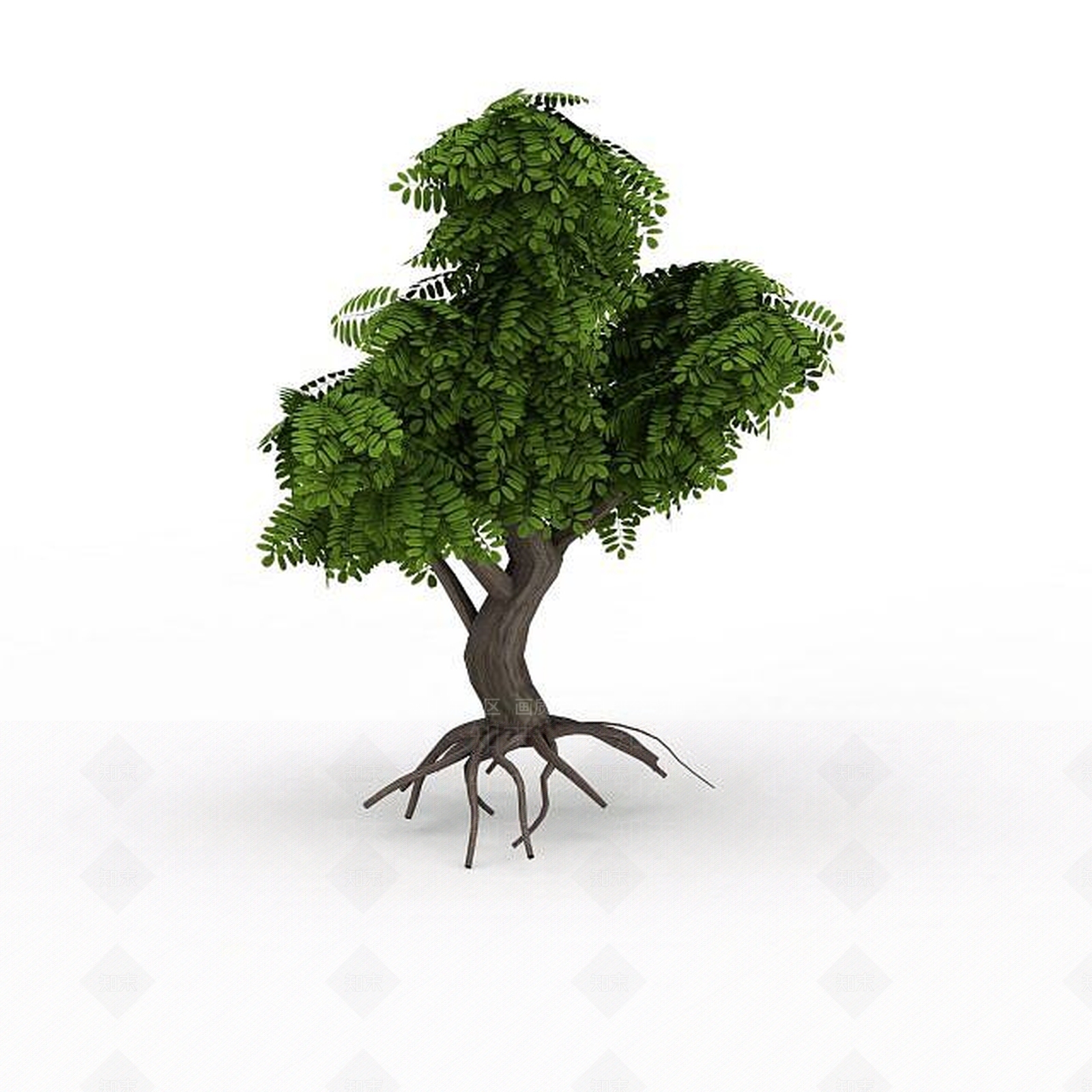 现代庭院绿色植被3D模型下载【ID:1198876769】