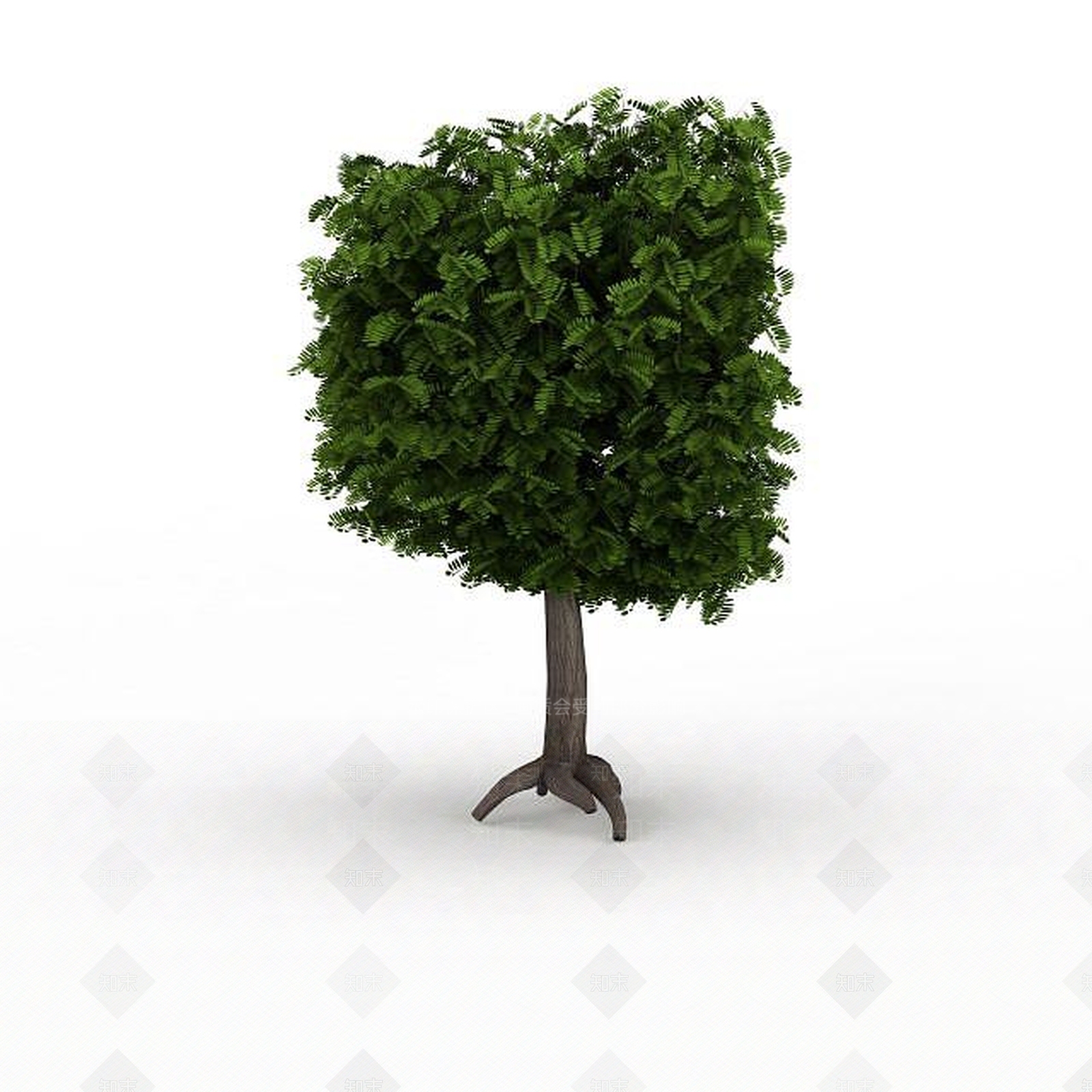 现代方形景观绿树3D模型下载【ID:1198877115】
