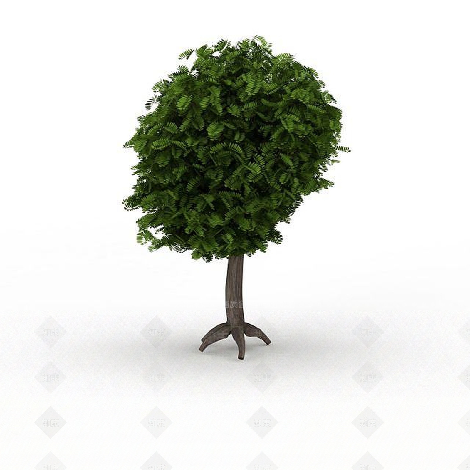 现代方形景观绿树3D模型下载【ID:1198877115】
