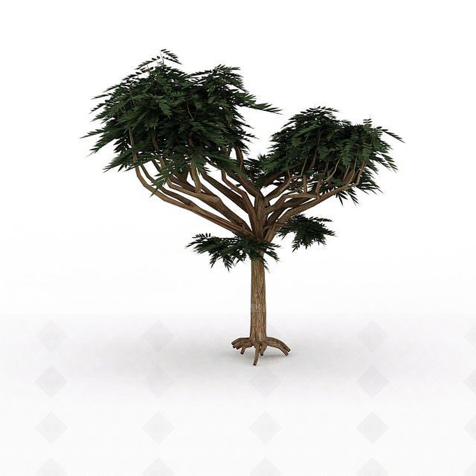 现代分支景观树3D模型下载【ID:1198877749】