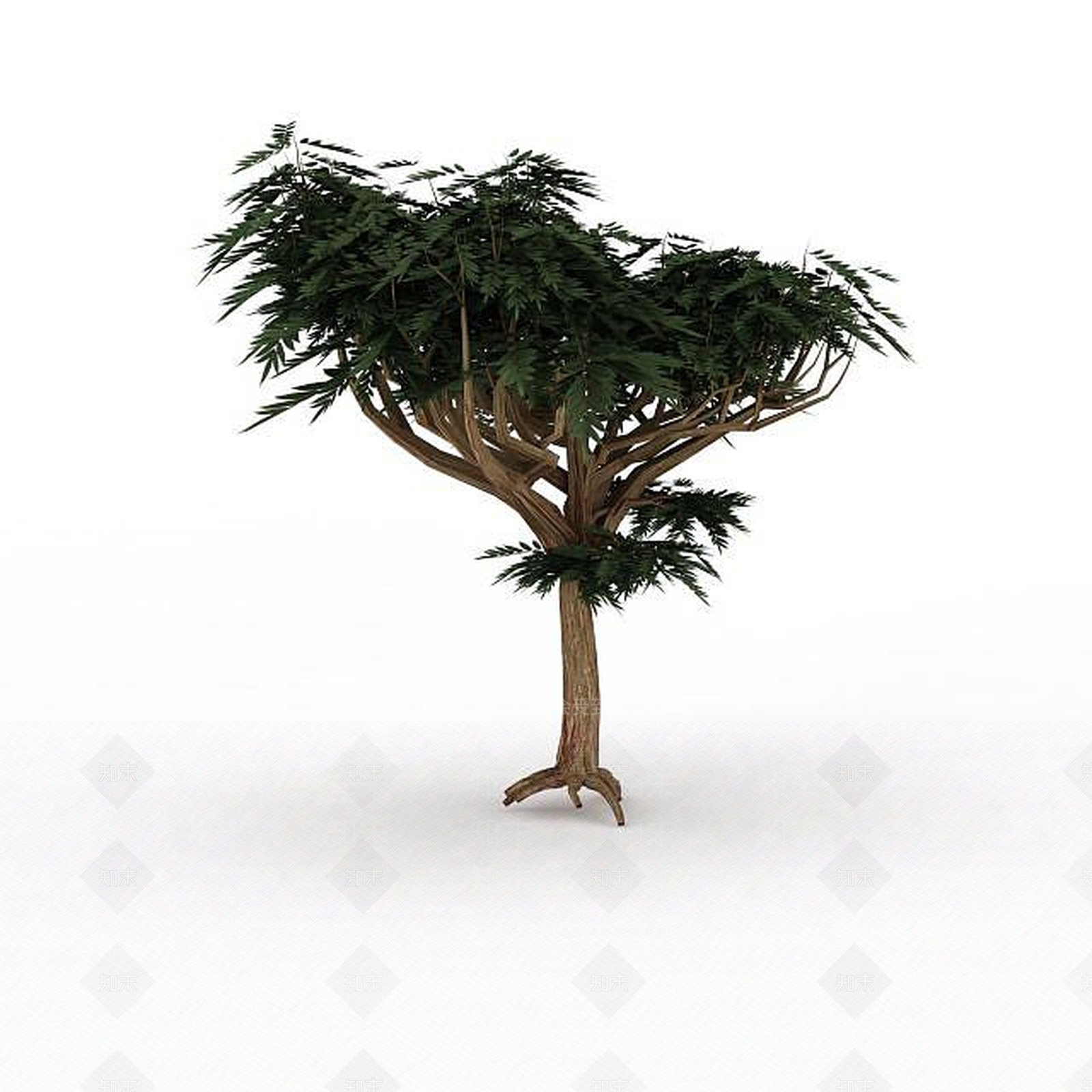 现代分支景观树3D模型下载【ID:1198877749】