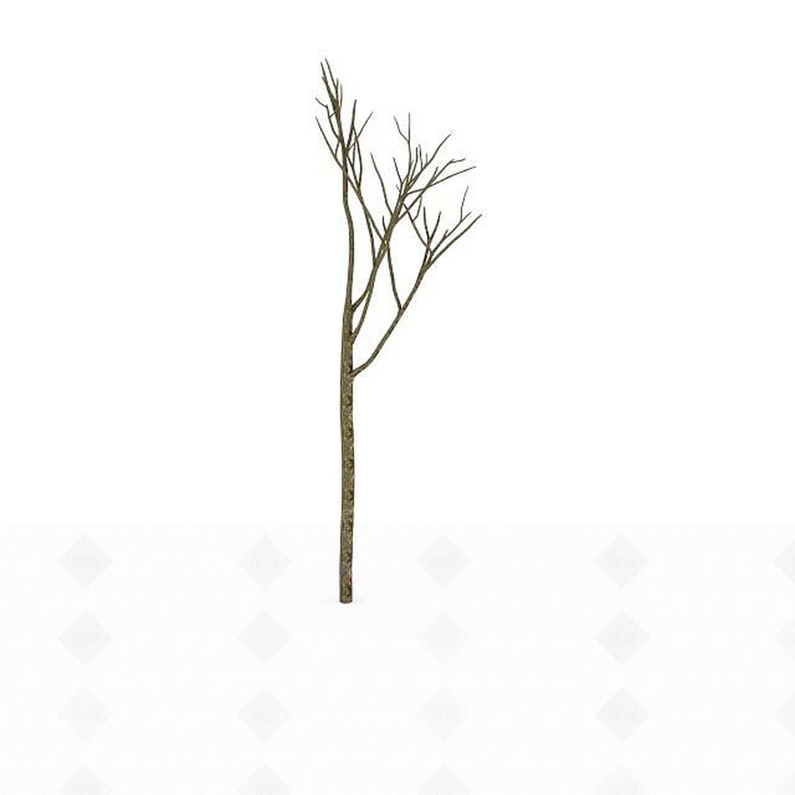 现代景观树木3D模型下载【ID:1198877804】
