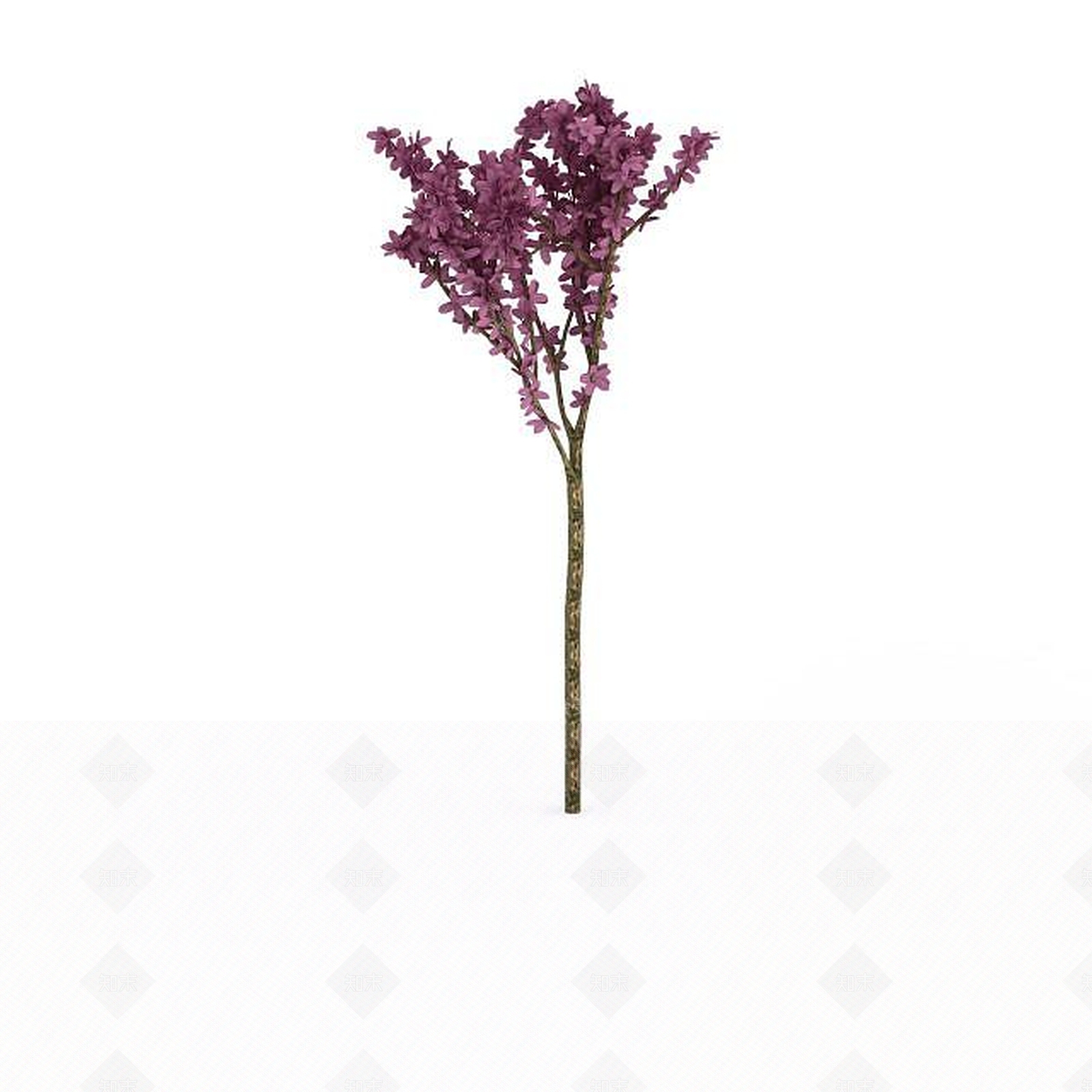 现代紫花树3D模型下载【ID:1198877828】