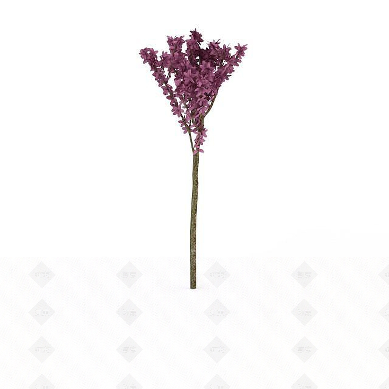 现代紫花树3D模型下载【ID:1198877828】