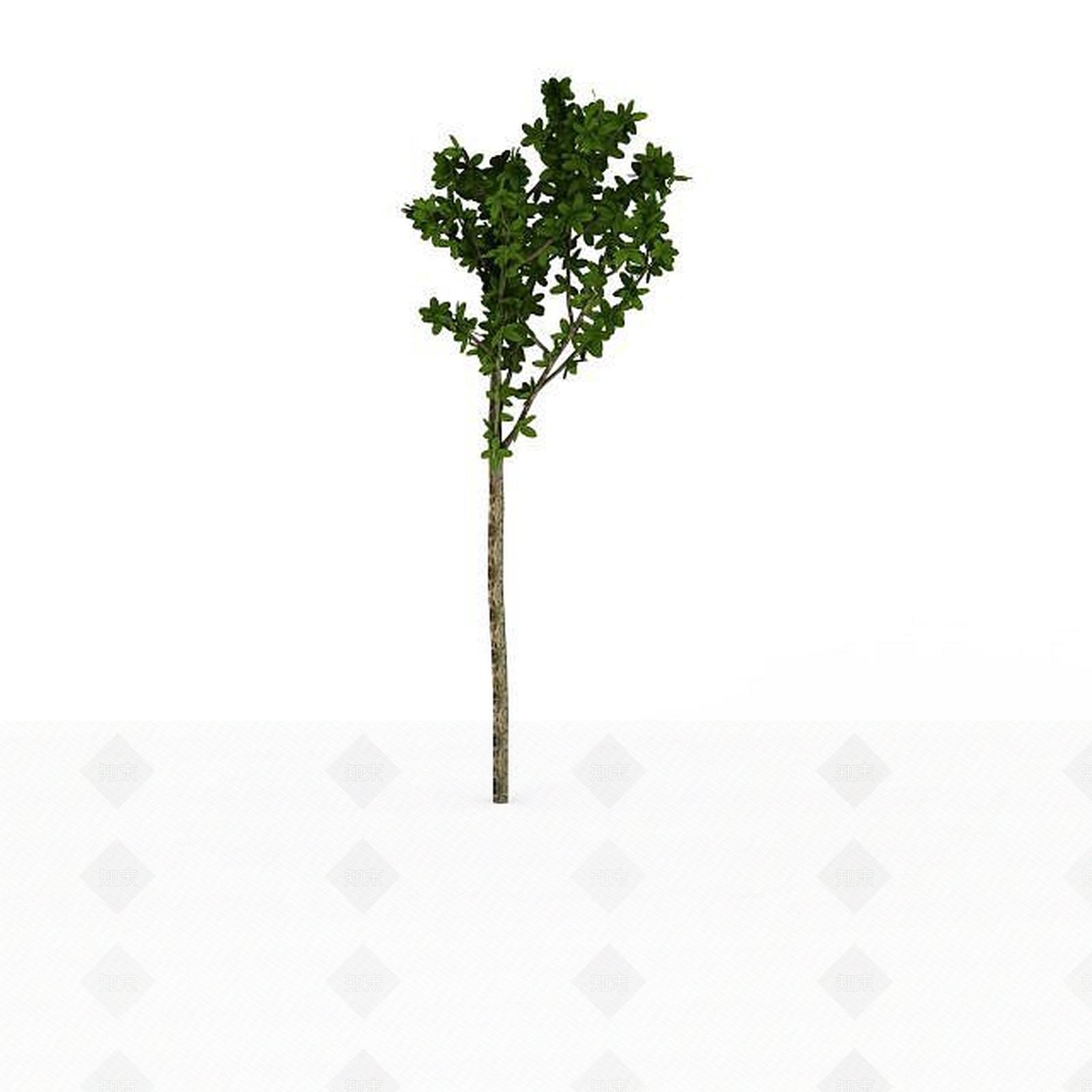 现代绿色景观树3D模型下载【ID:1198878058】