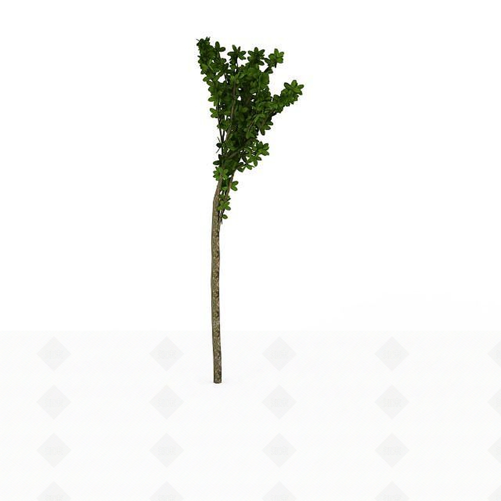 现代绿色景观树3D模型下载【ID:1198878058】