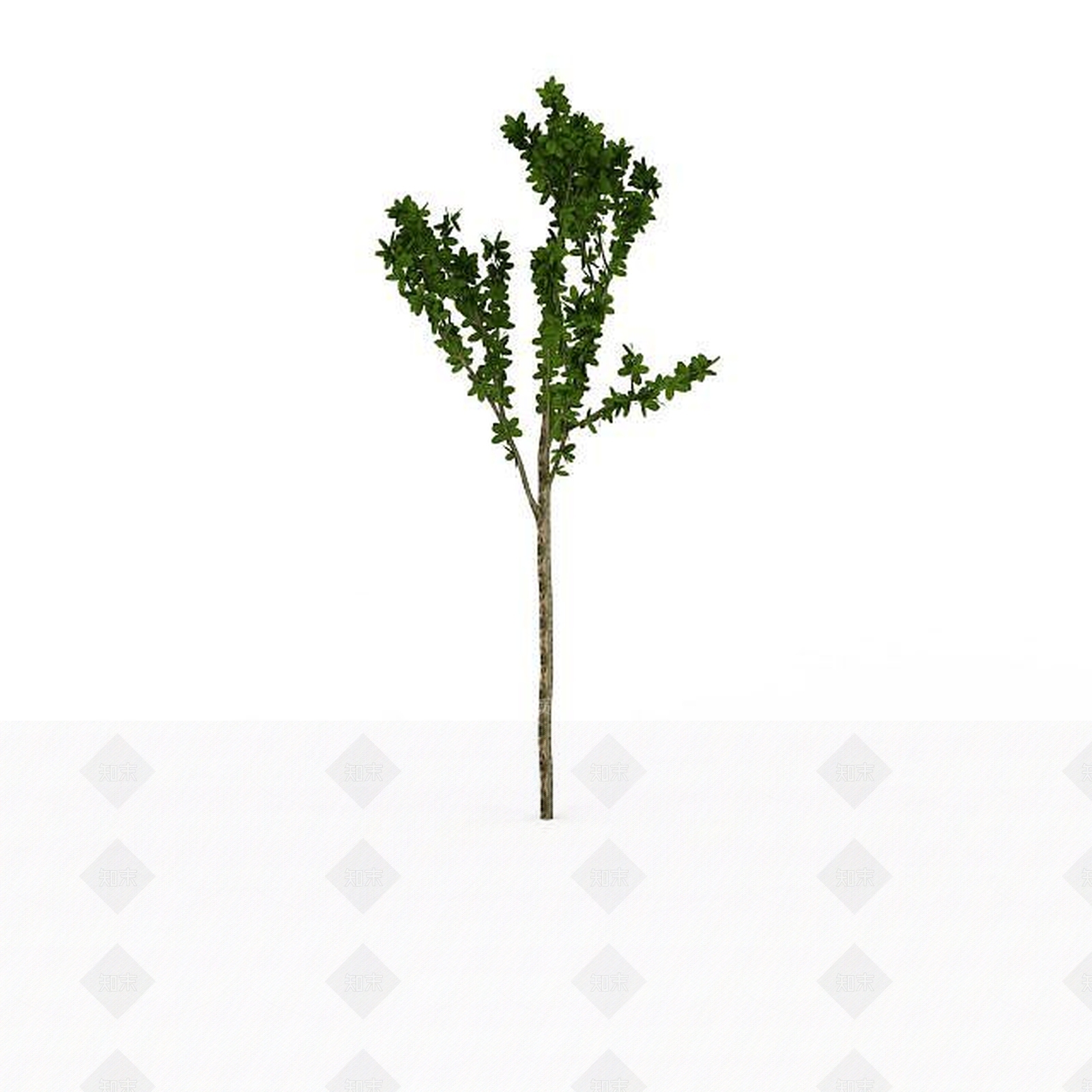 现代小区景观树3D模型下载【ID:1198878121】