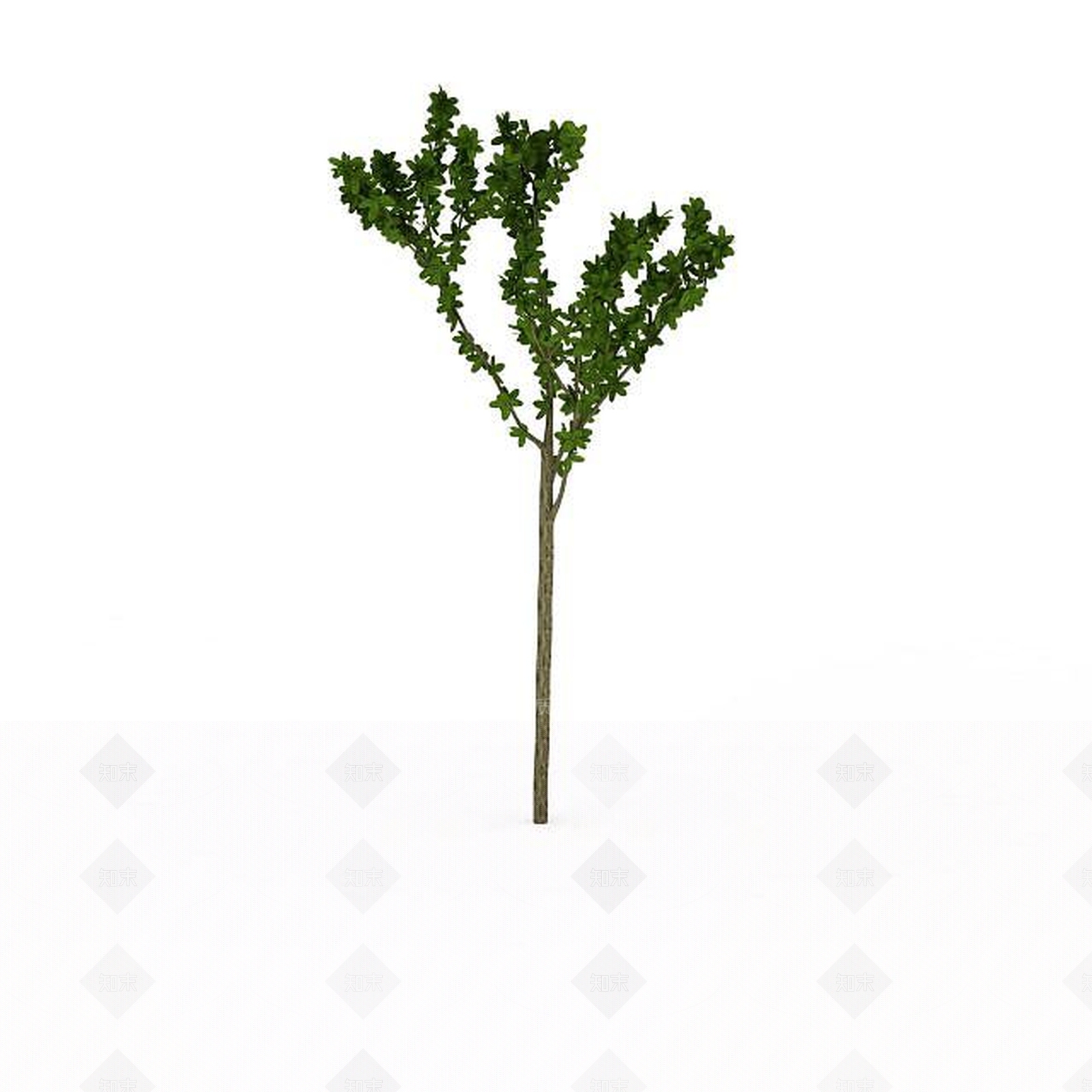 现代小区景观树3D模型下载【ID:1198878121】