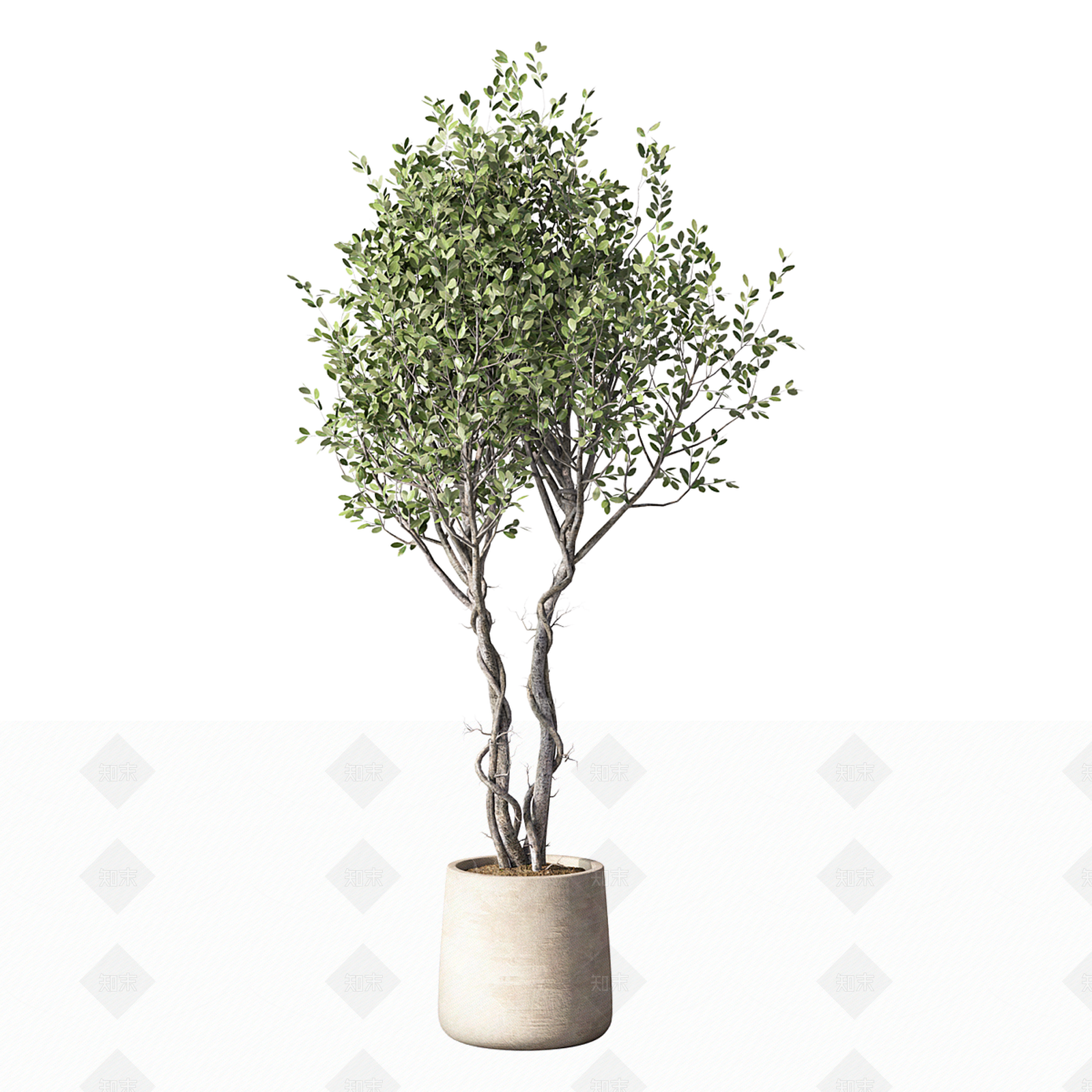 盆栽3D模型下载【ID:1198880231】